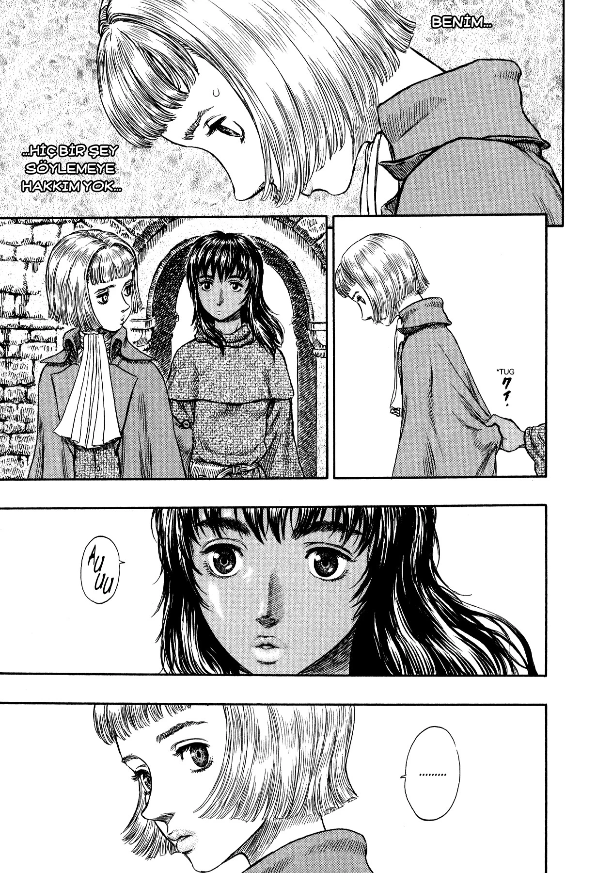 Read Berserk TR Manga Online