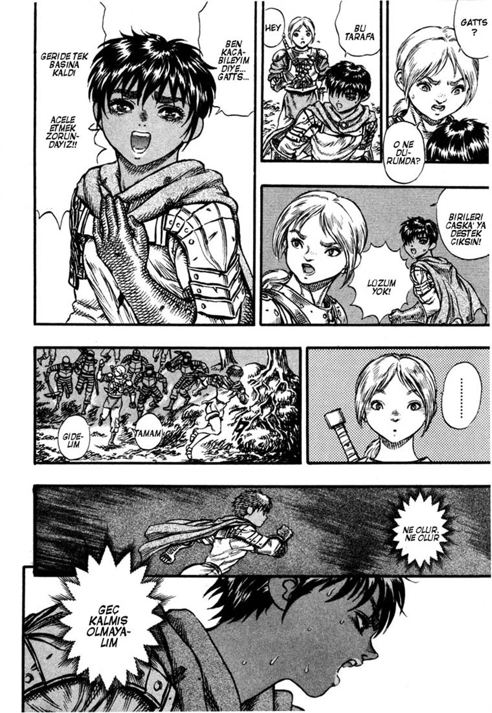 Read Berserk TR Manga Online
