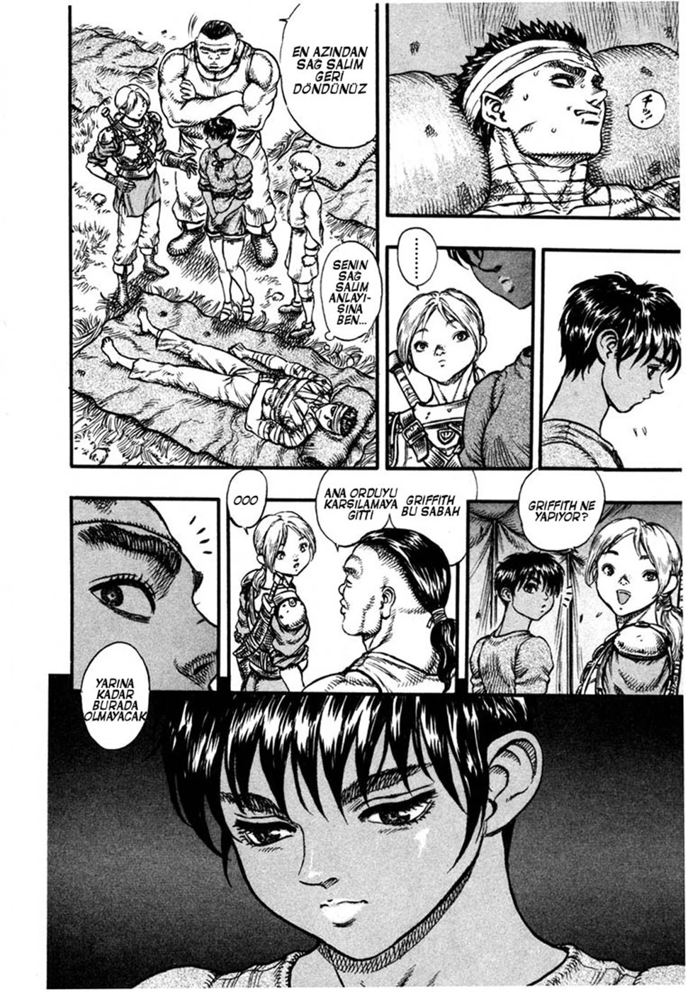 Read Berserk TR Manga Online