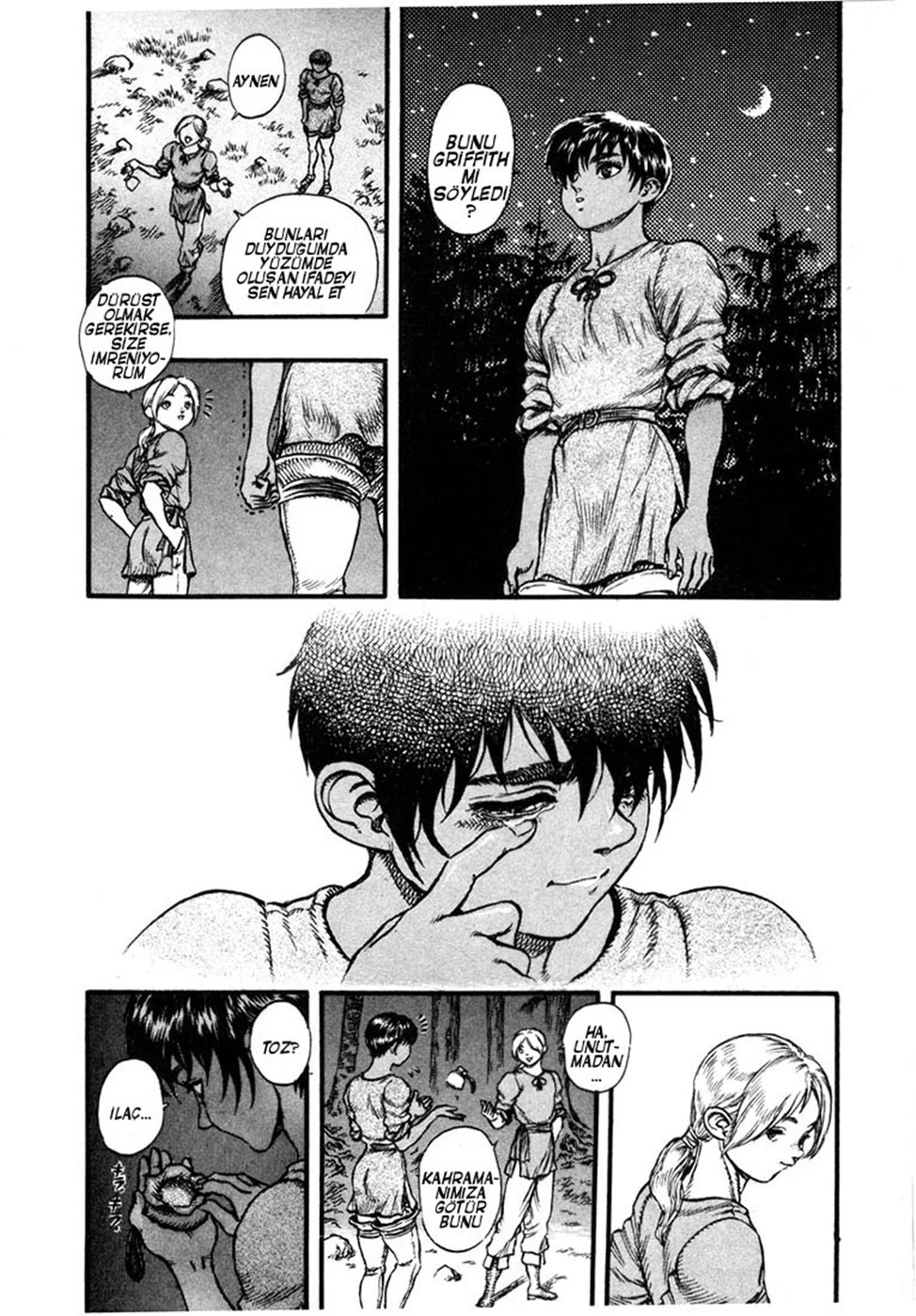 Read Berserk TR Manga Online