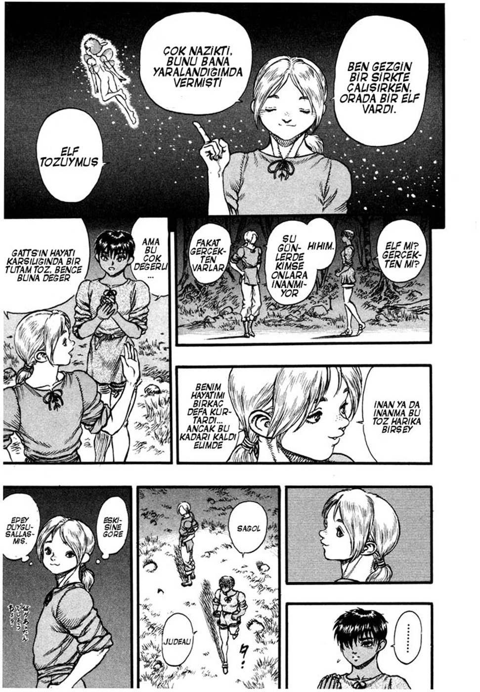 Read Berserk TR Manga Online