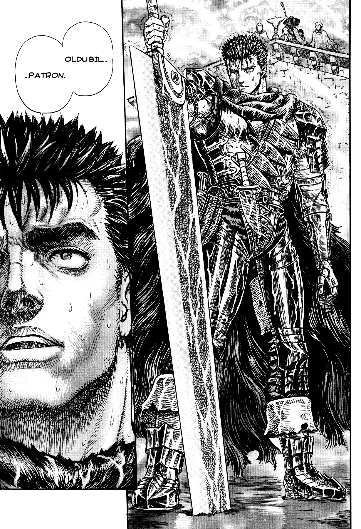 Read Berserk TR Manga Online