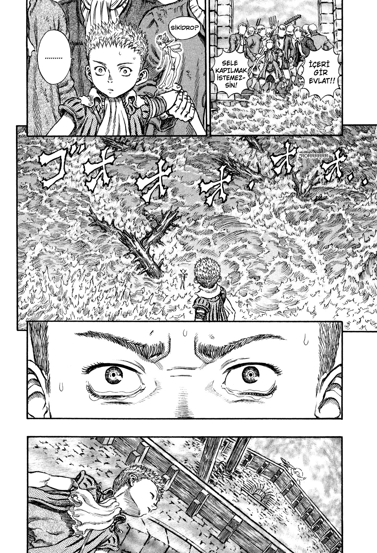 Read Berserk TR Manga Online