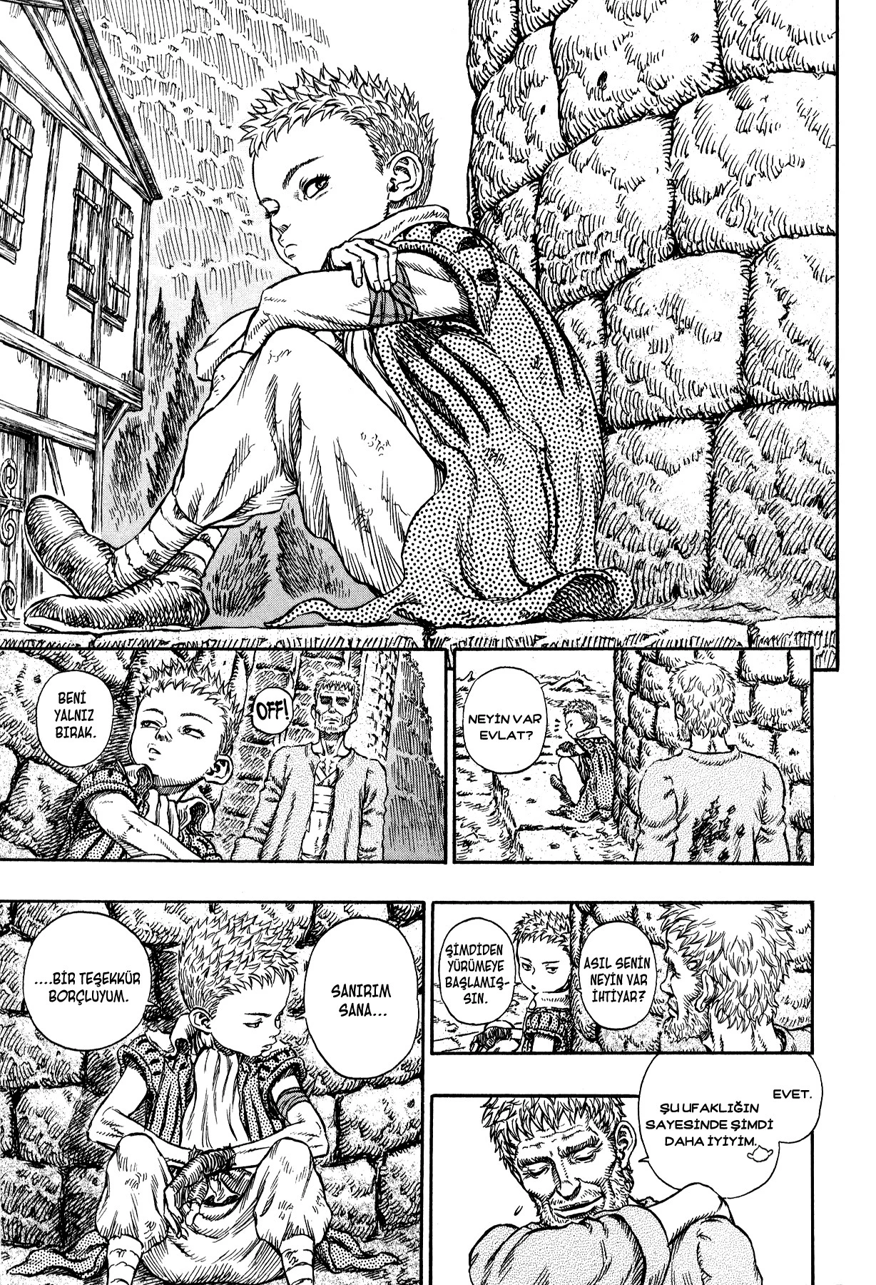Read Berserk TR Manga Online