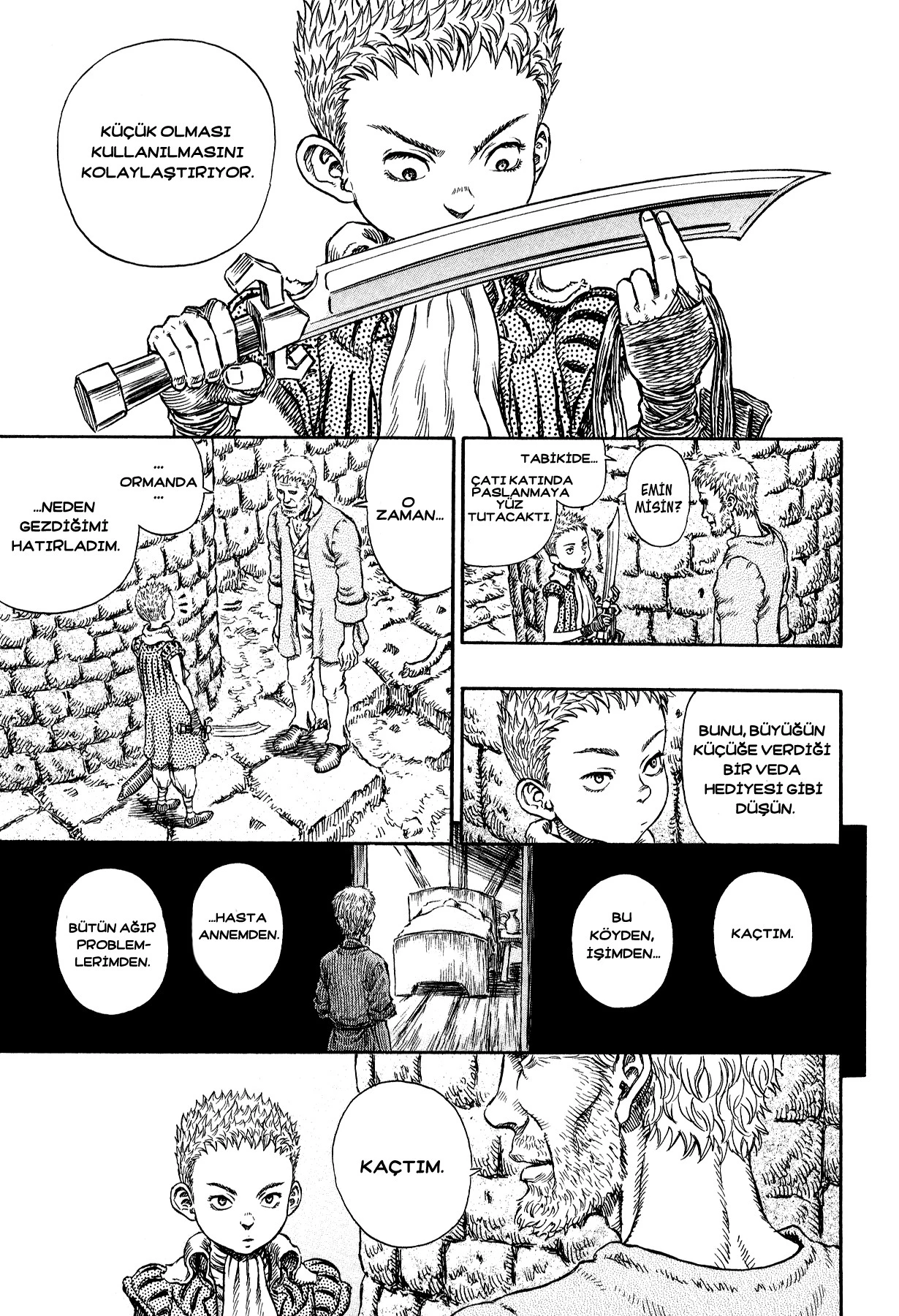 Read Berserk TR Manga Online