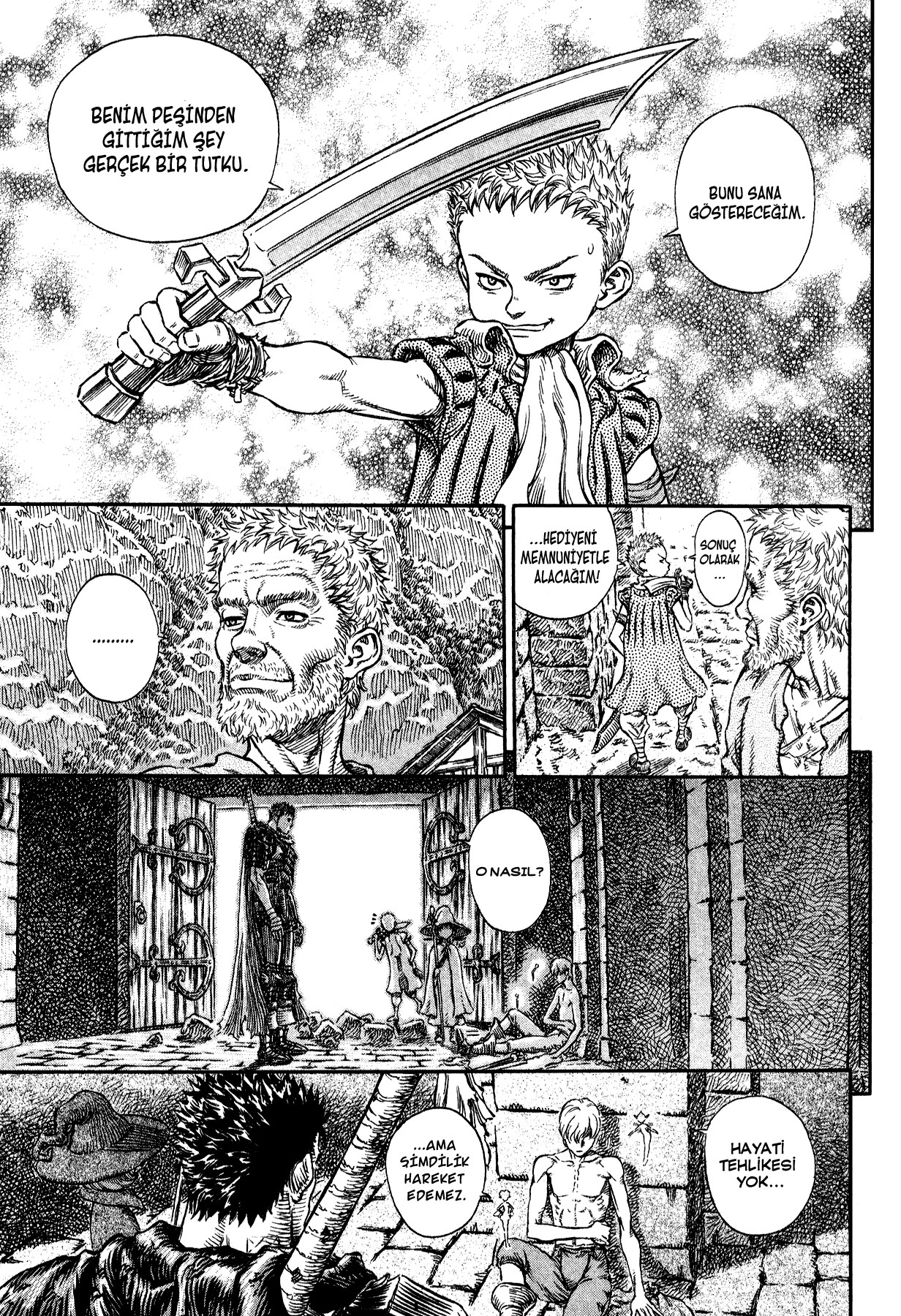 Read Berserk TR Manga Online