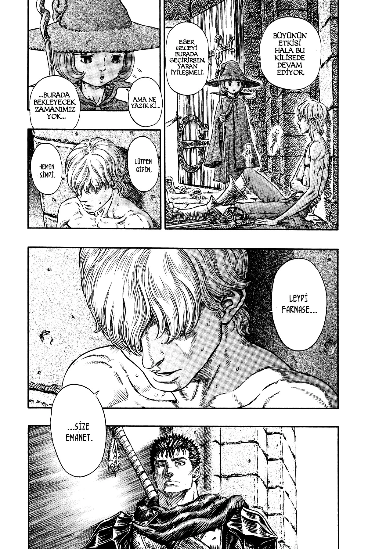 Read Berserk TR Manga Online