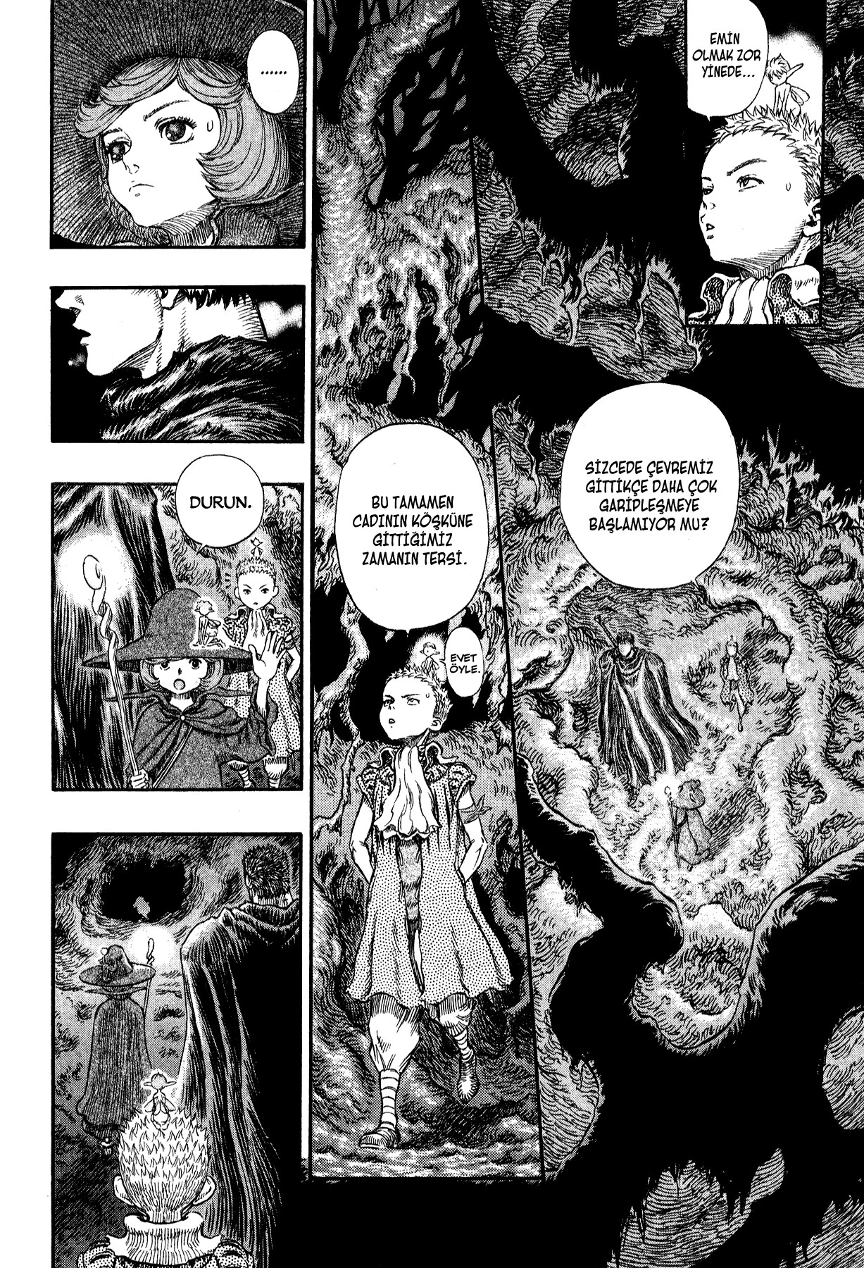 Read Berserk TR Manga Online