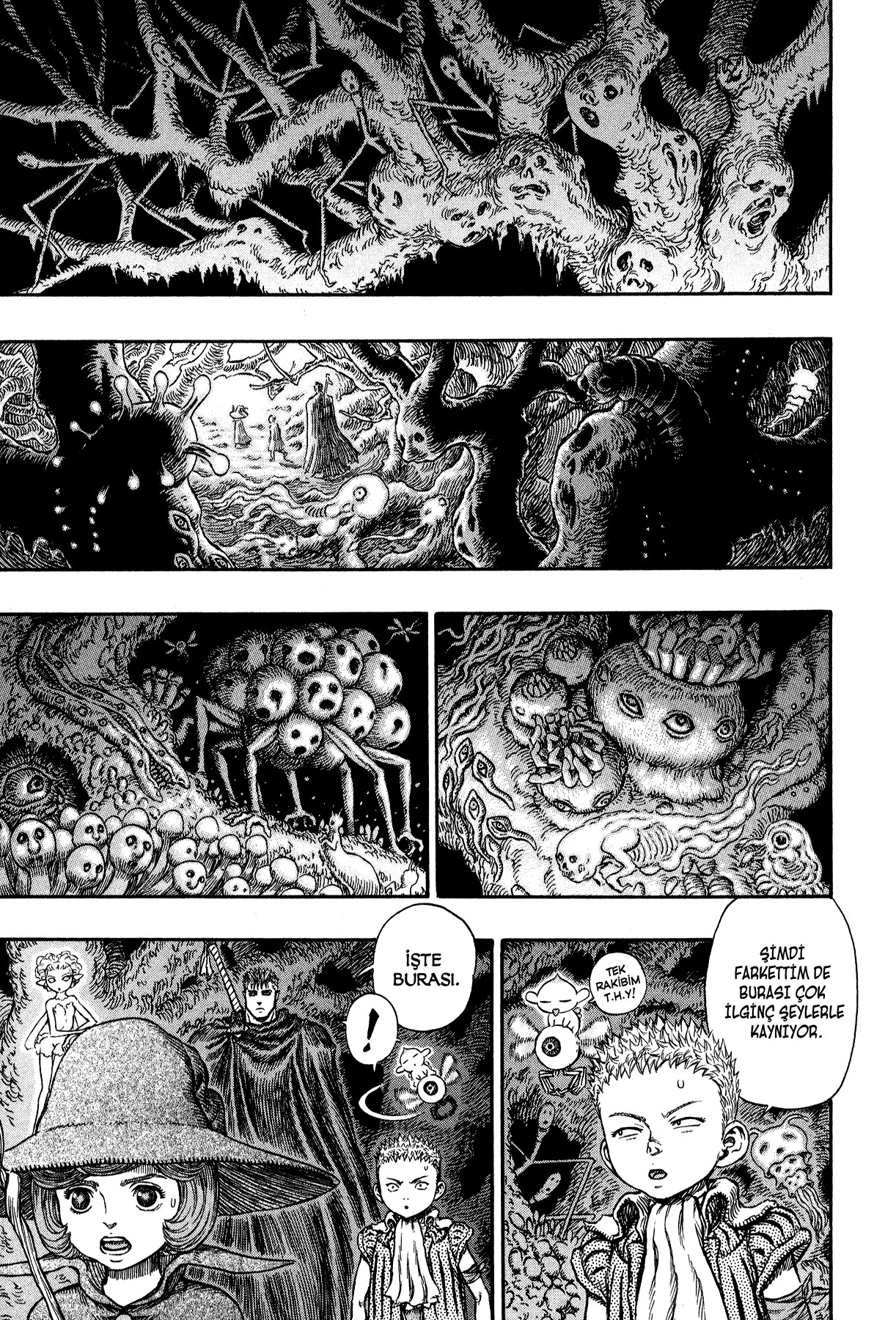 Read Berserk TR Manga Online