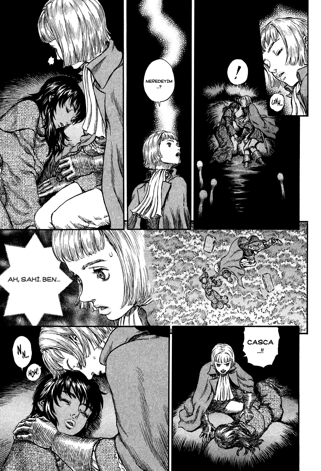 Read Berserk TR Manga Online
