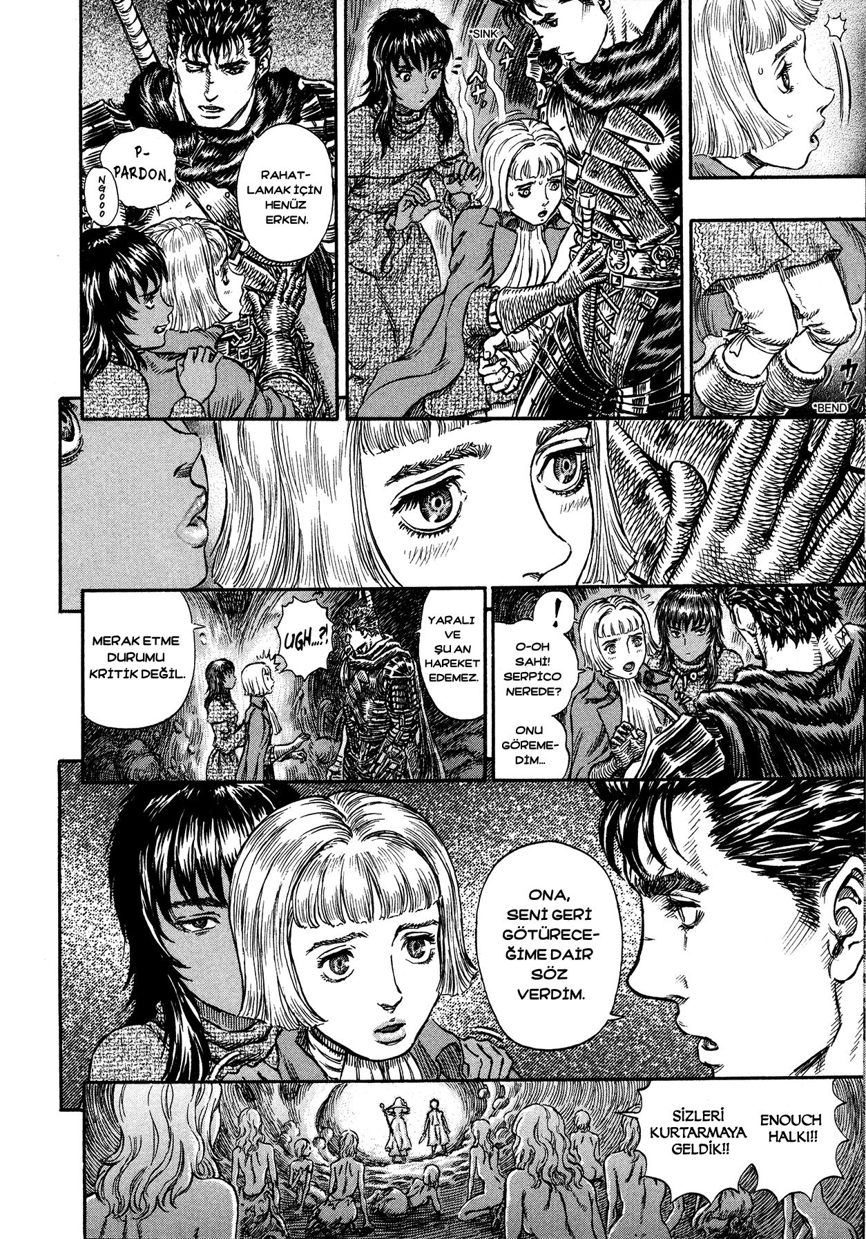 Read Berserk TR Manga Online