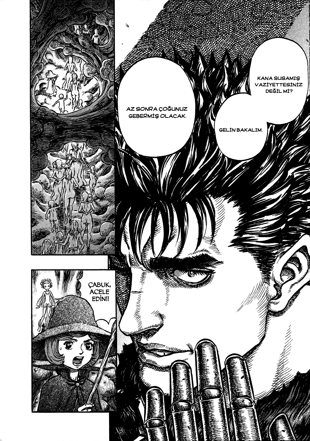 Read Berserk TR Manga Online