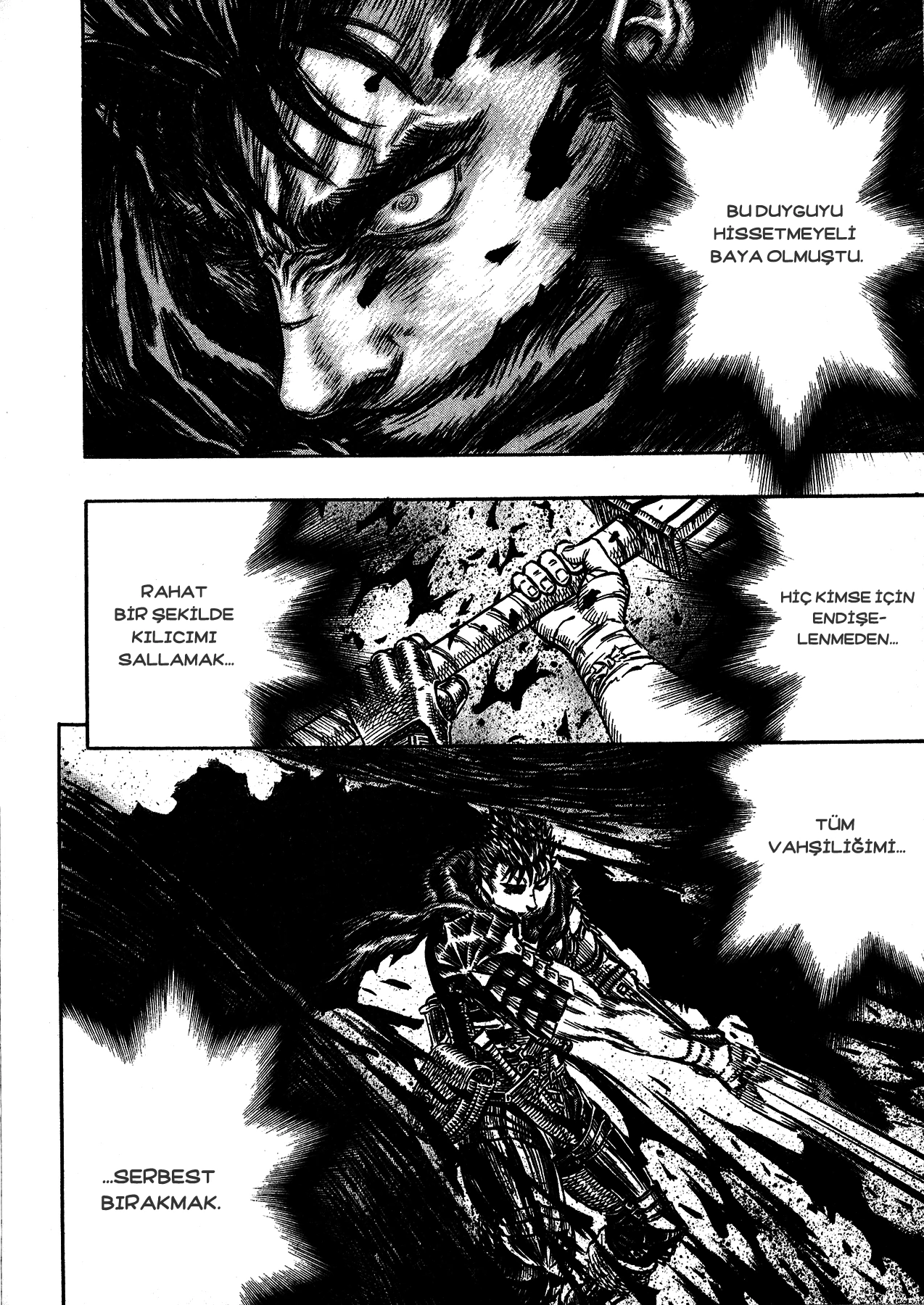 Read Berserk TR Manga Online