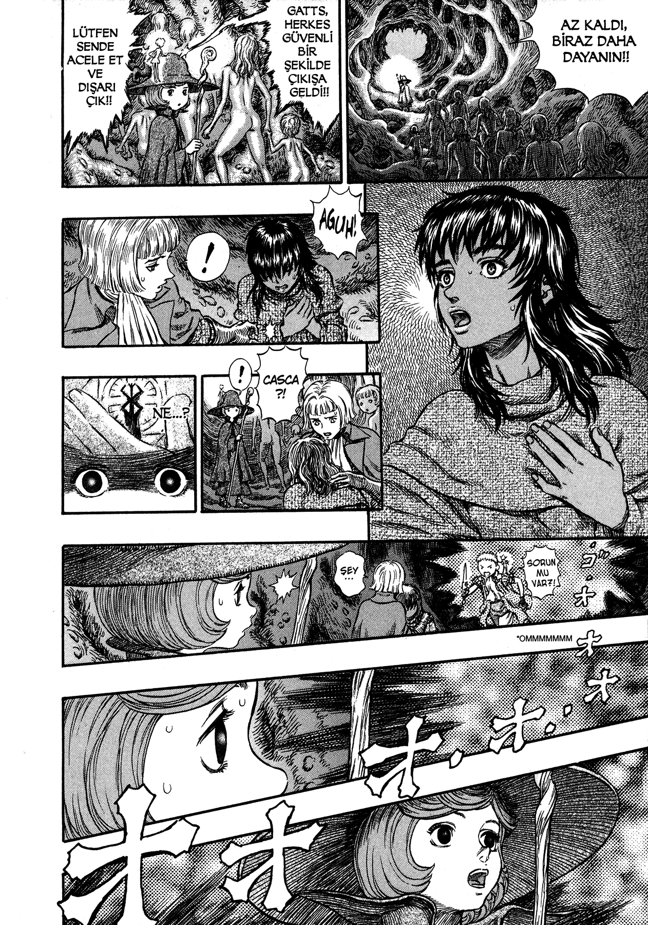 Read Berserk TR Manga Online