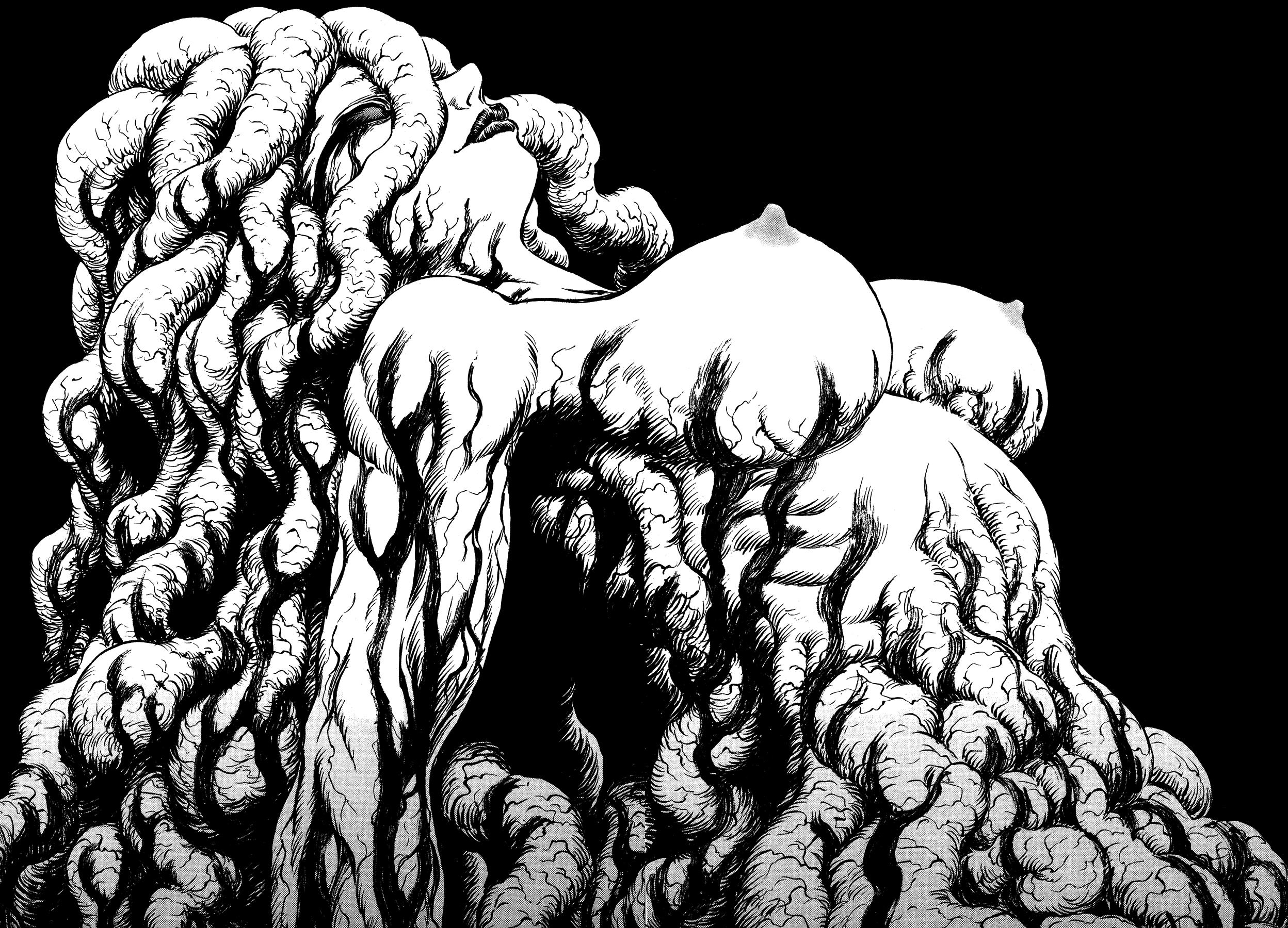 Read Berserk TR Manga Online