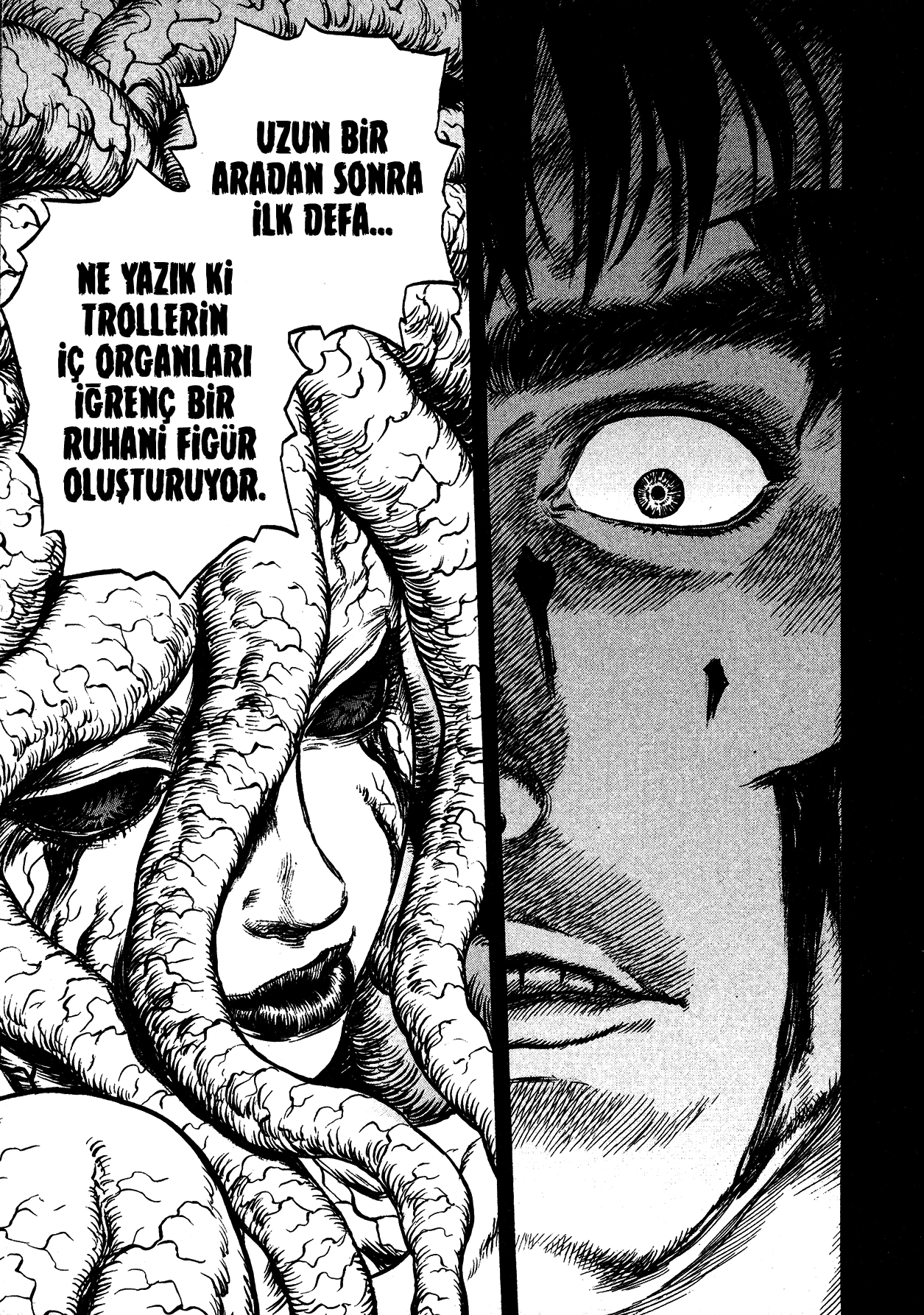 Read Berserk TR Manga Online