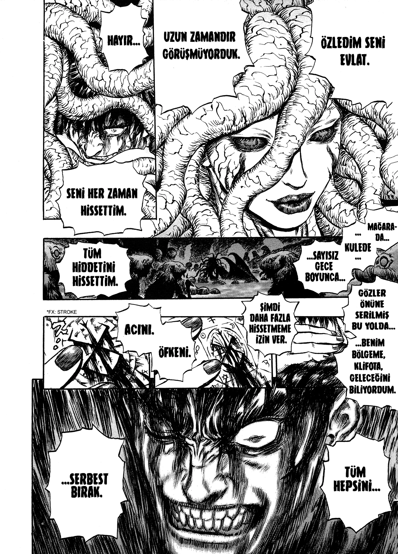 Read Berserk TR Manga Online