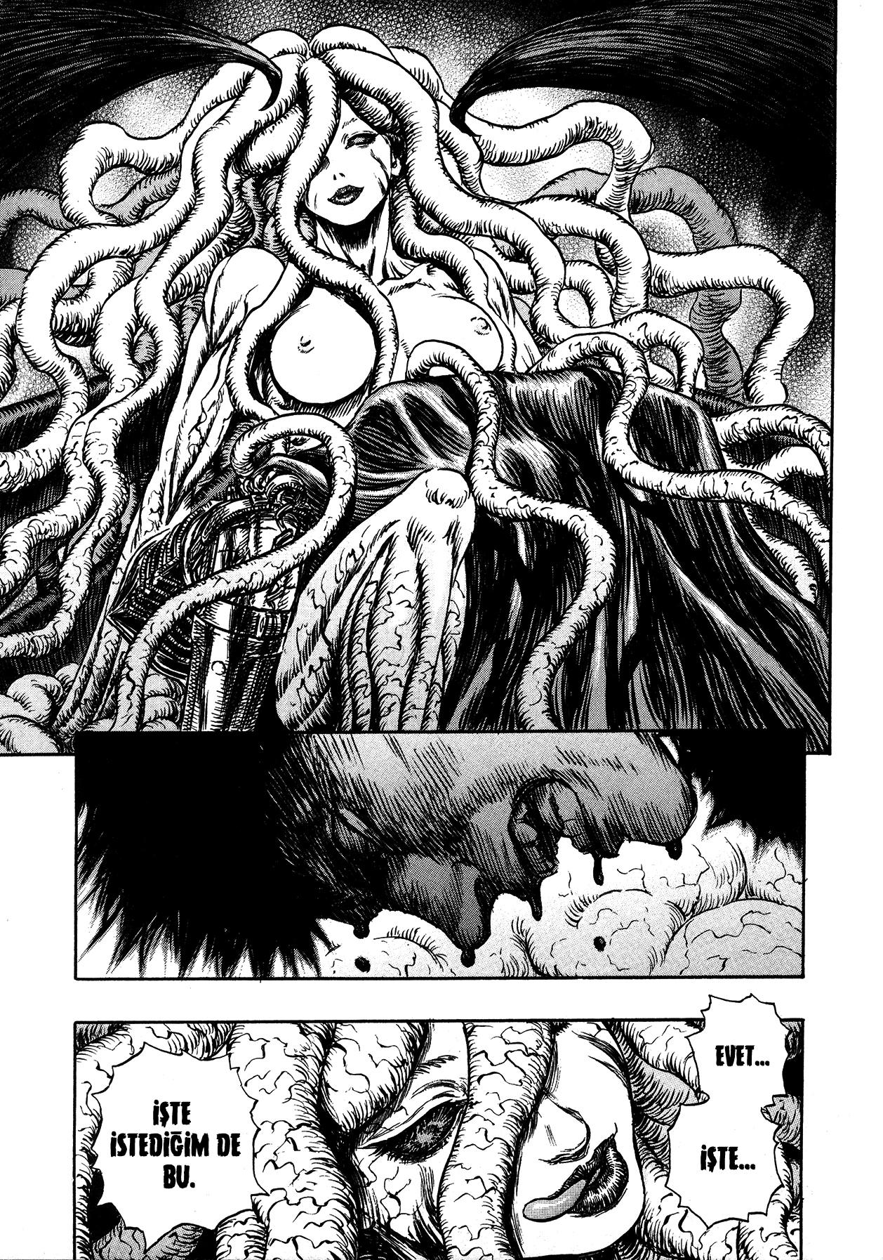 Read Berserk TR Manga Online