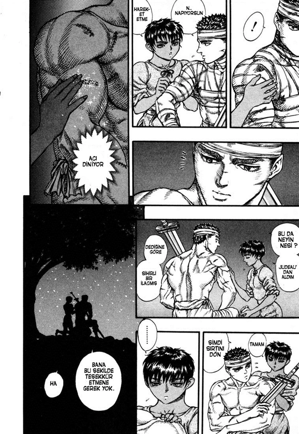 Read Berserk TR Manga Online