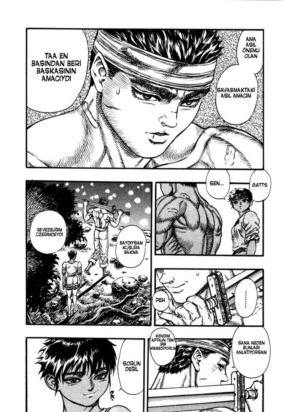 Read Berserk TR Manga Online