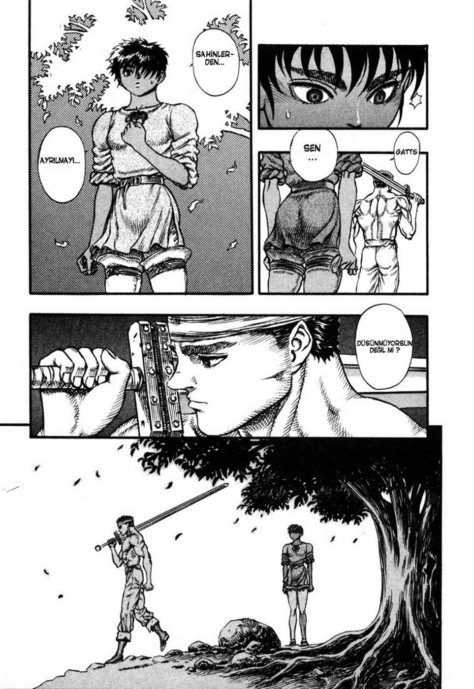 Read Berserk TR Manga Online
