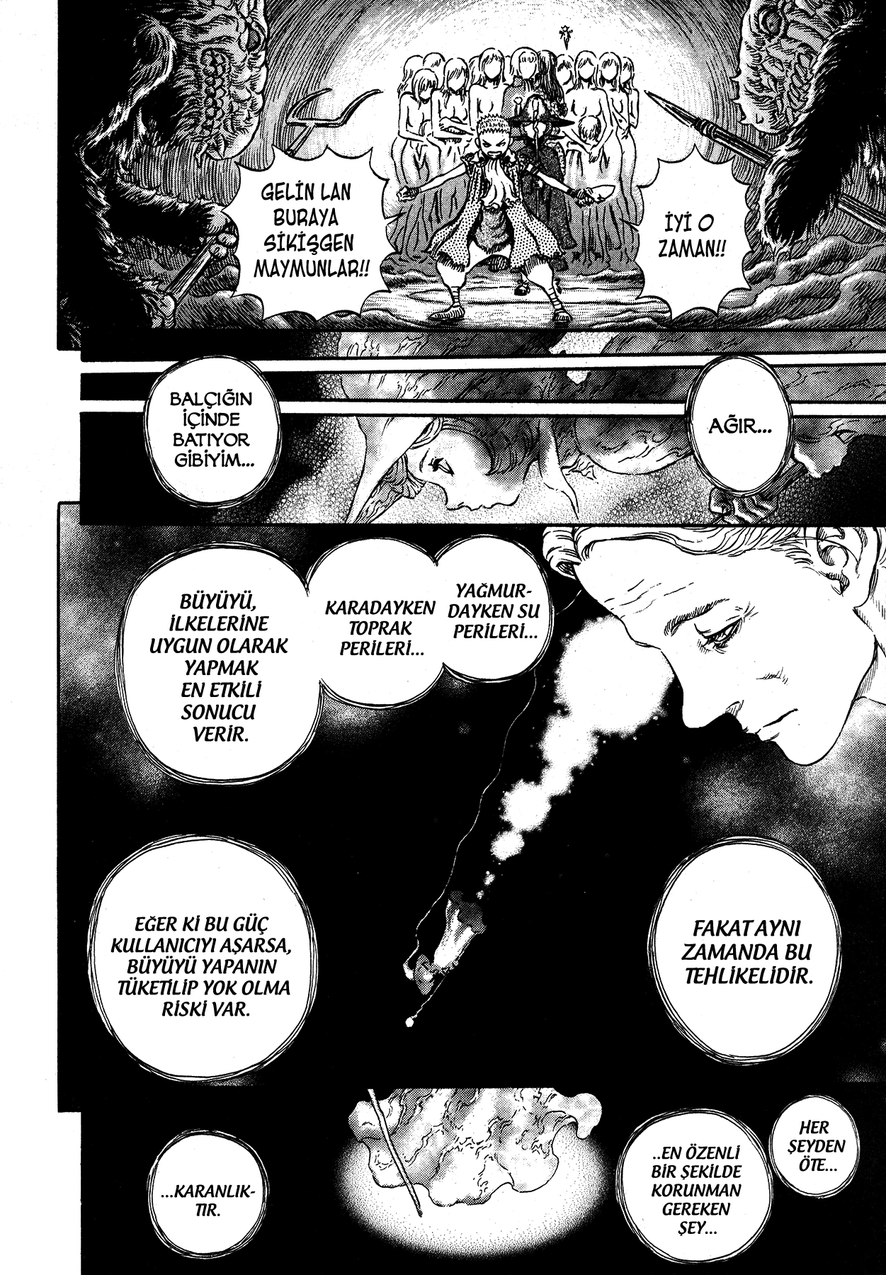 Read Berserk TR Manga Online
