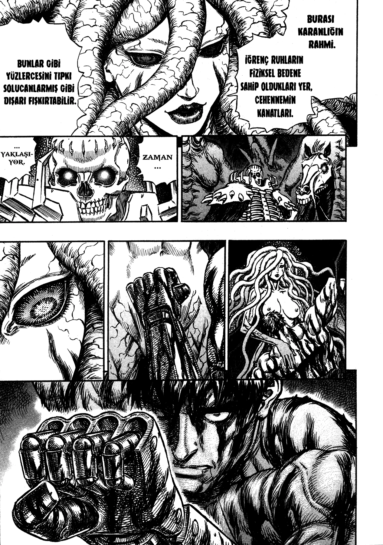 Read Berserk TR Manga Online