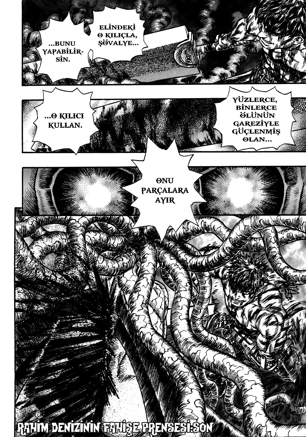 Read Berserk TR Manga Online