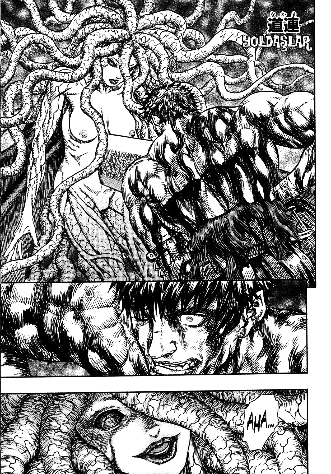 Read Berserk TR Manga Online