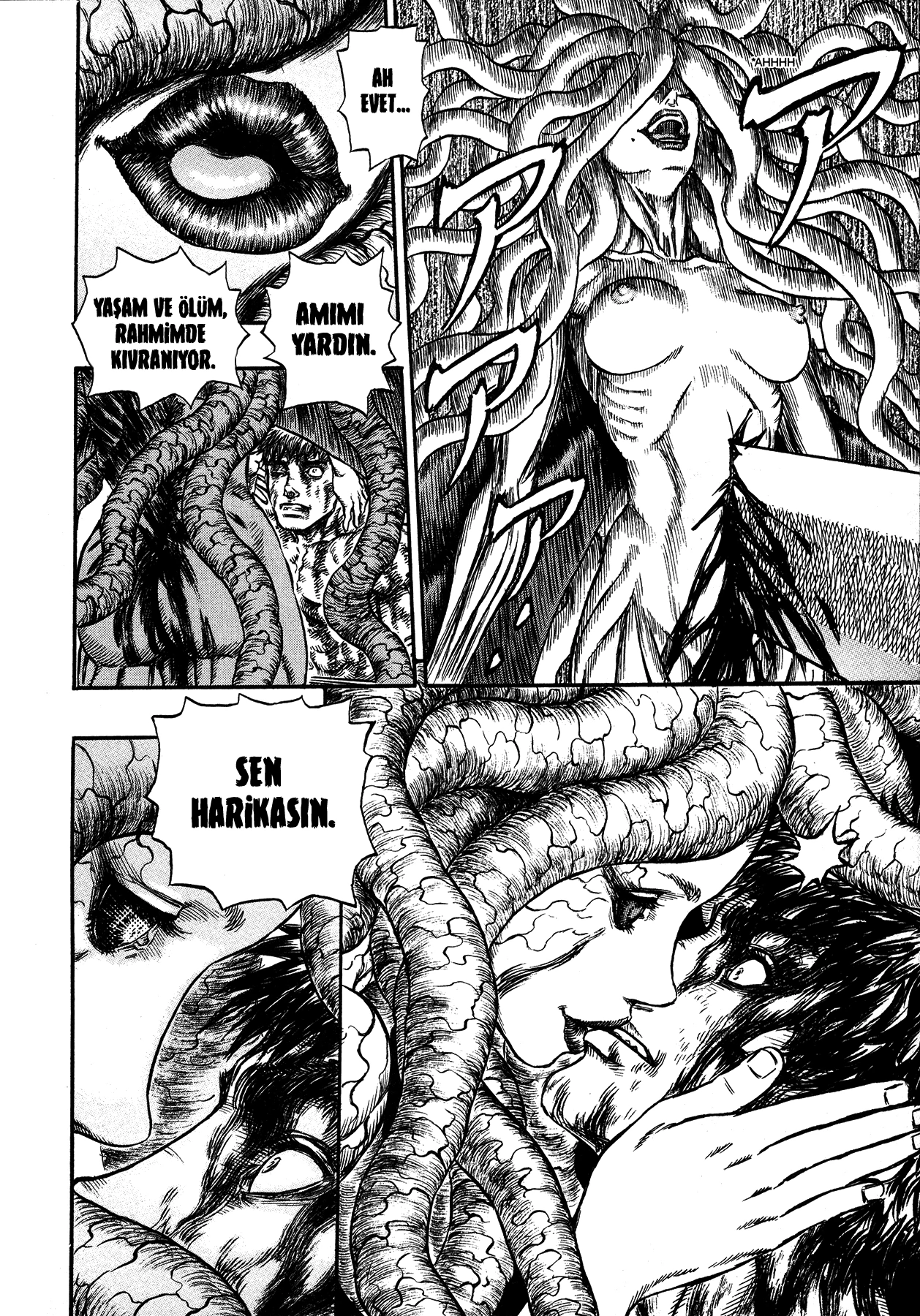 Read Berserk TR Manga Online