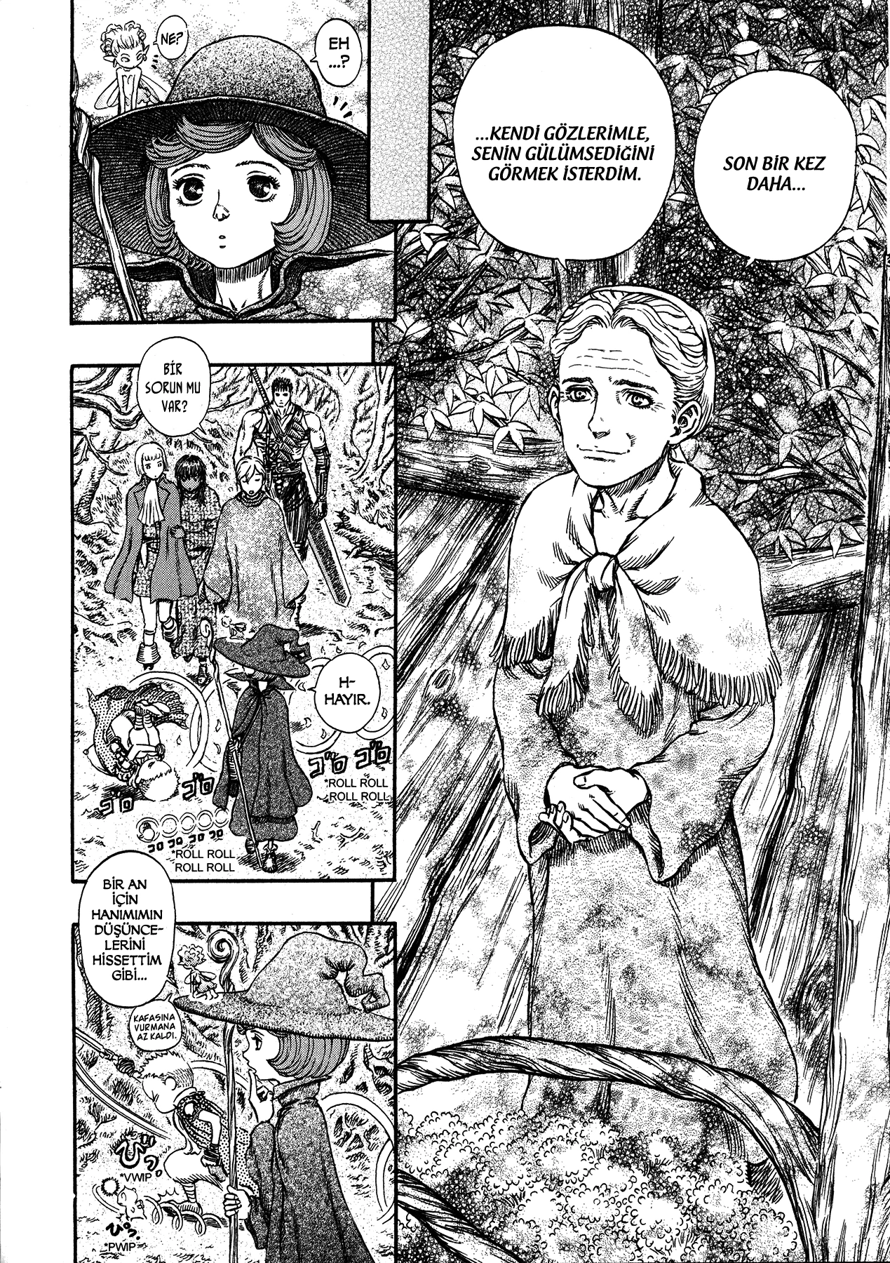 Read Berserk TR Manga Online