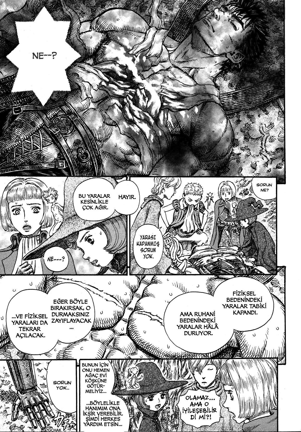 Read Berserk TR Manga Online