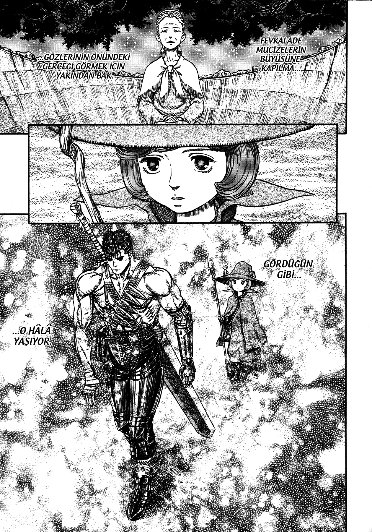 Read Berserk TR Manga Online
