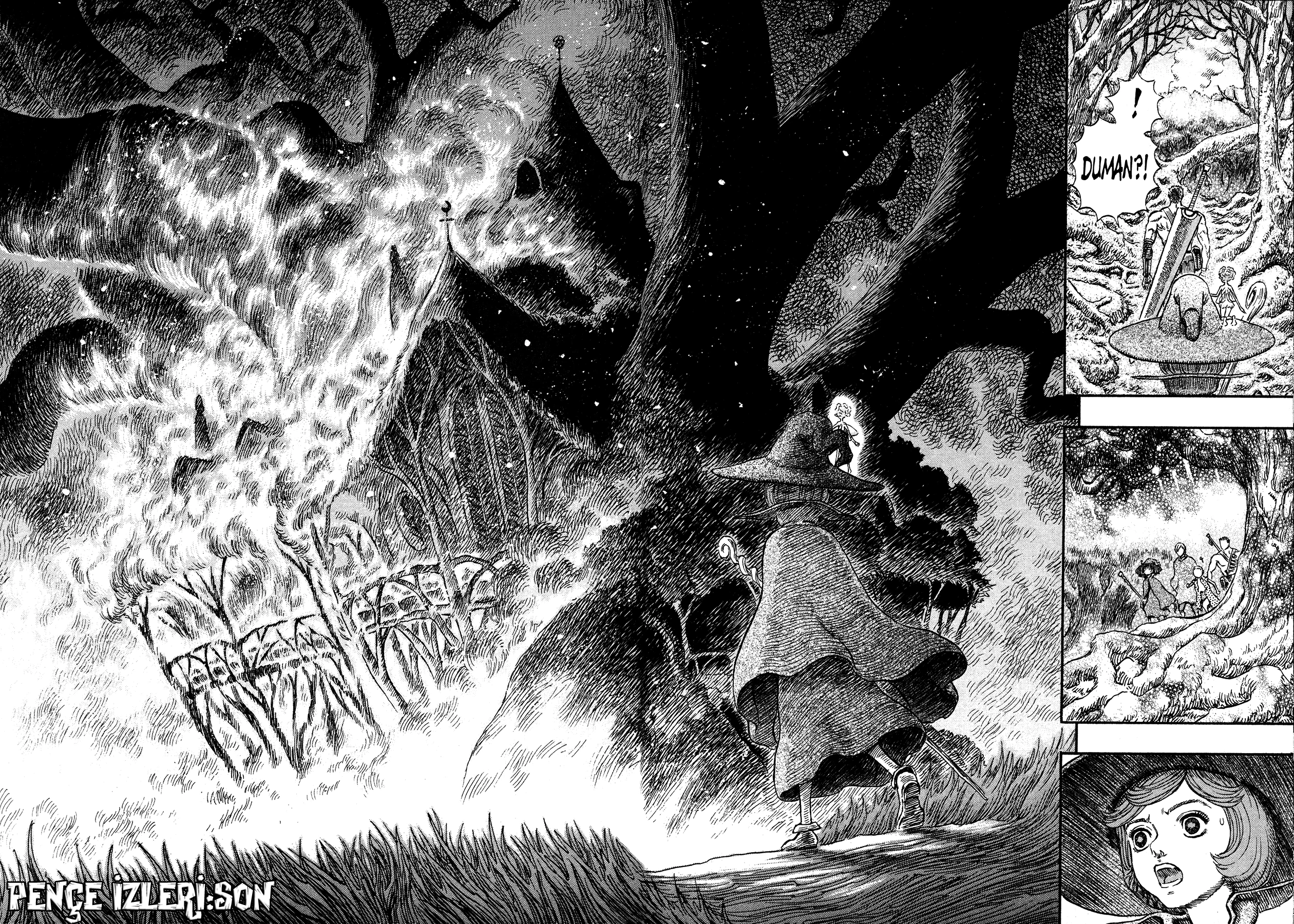 Read Berserk TR Manga Online