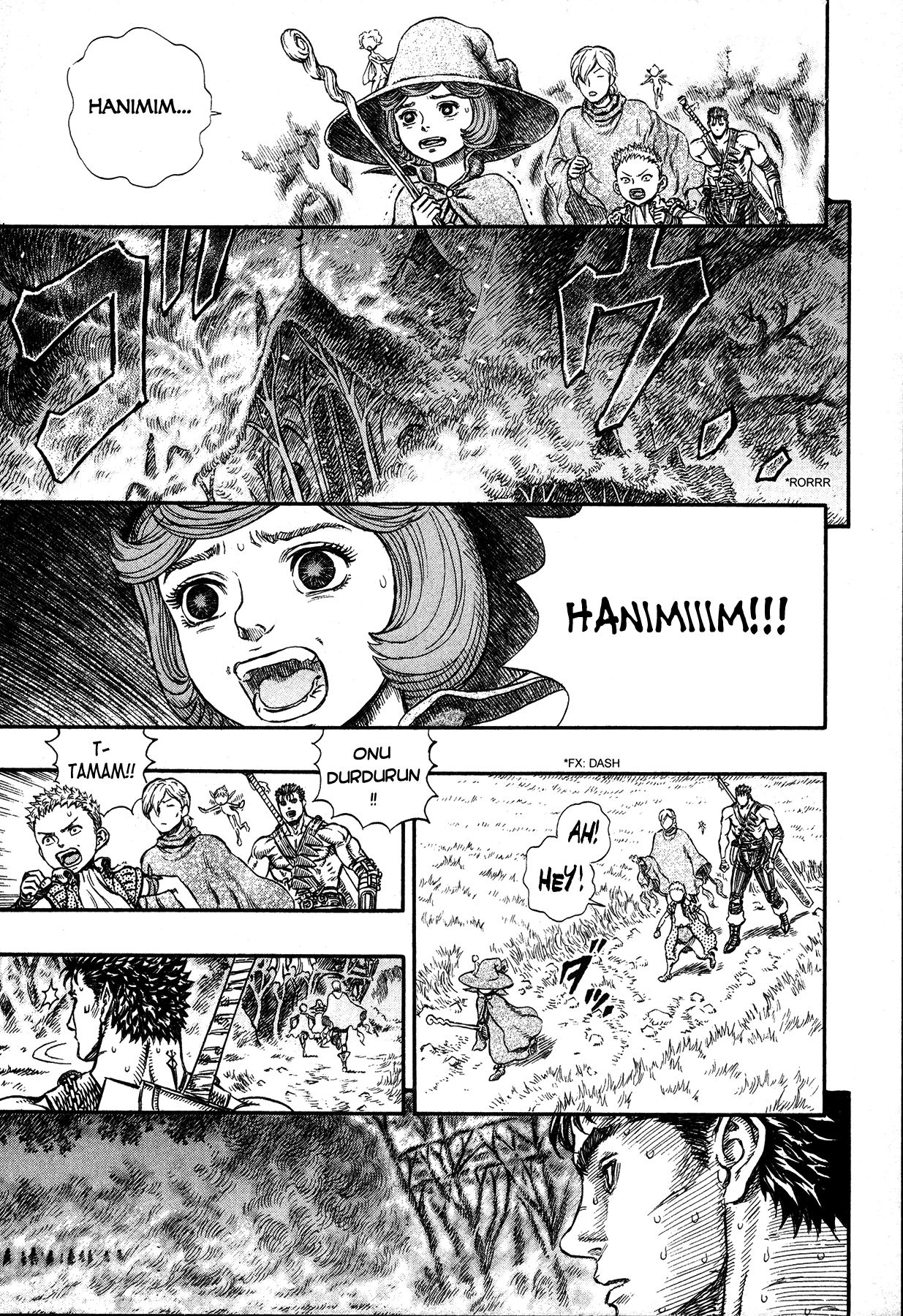 Read Berserk TR Manga Online