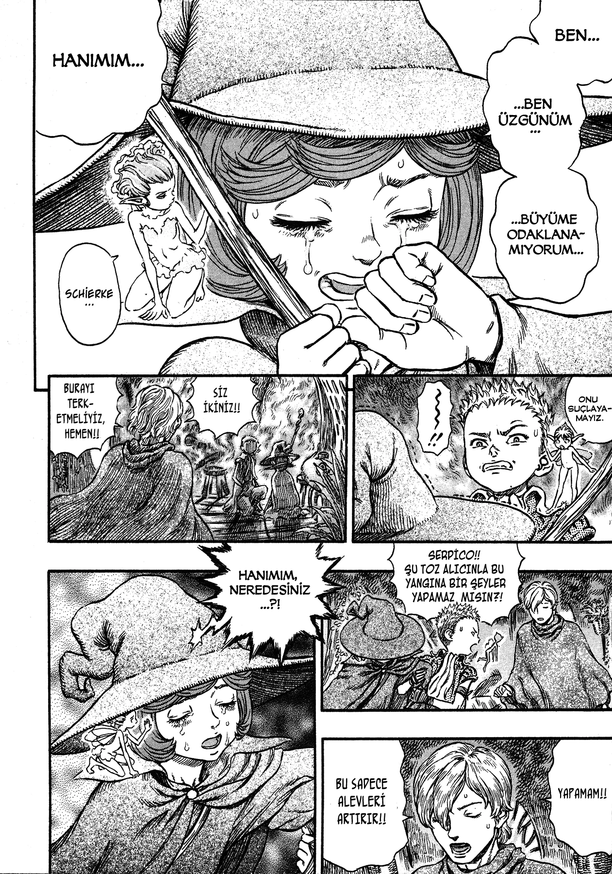 Read Berserk TR Manga Online
