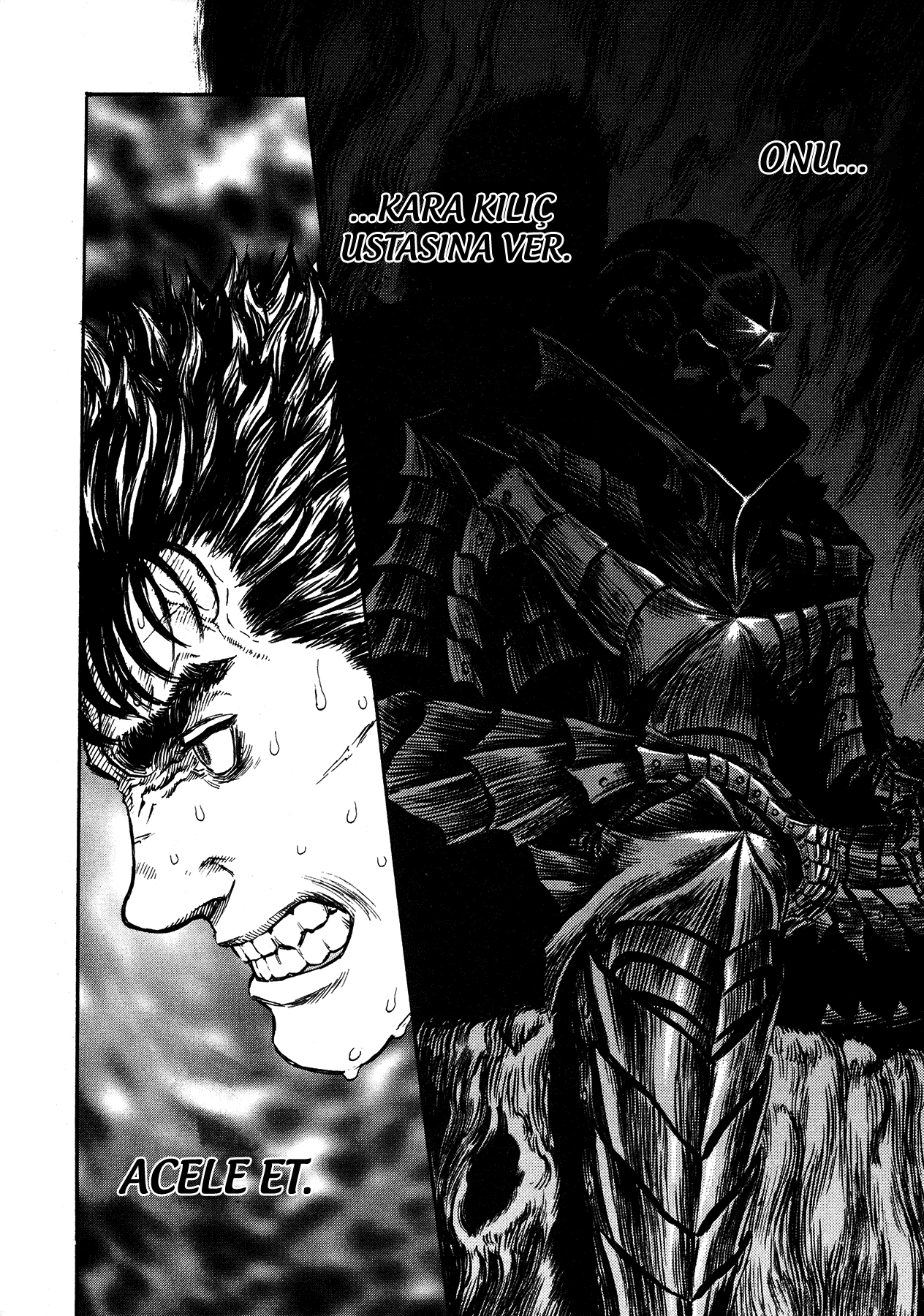 Read Berserk TR Manga Online