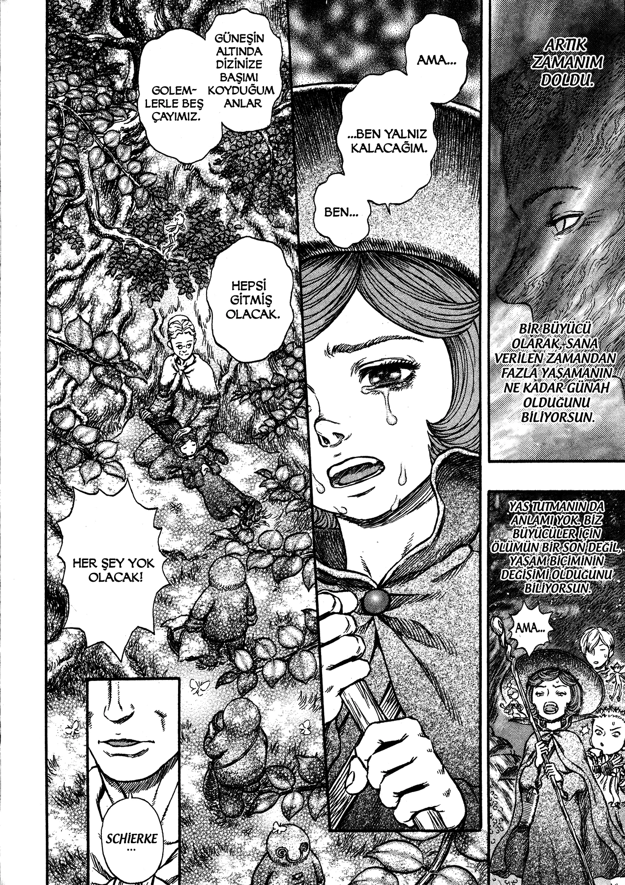 Read Berserk TR Manga Online