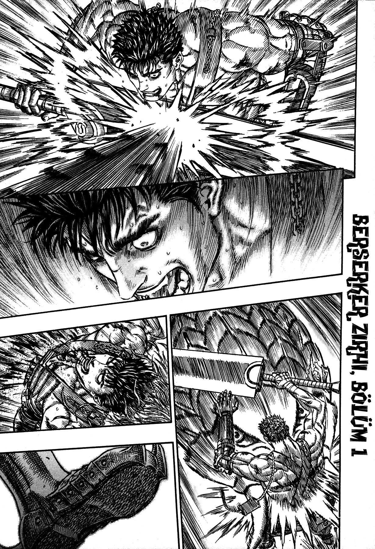 Read Berserk TR Manga Online