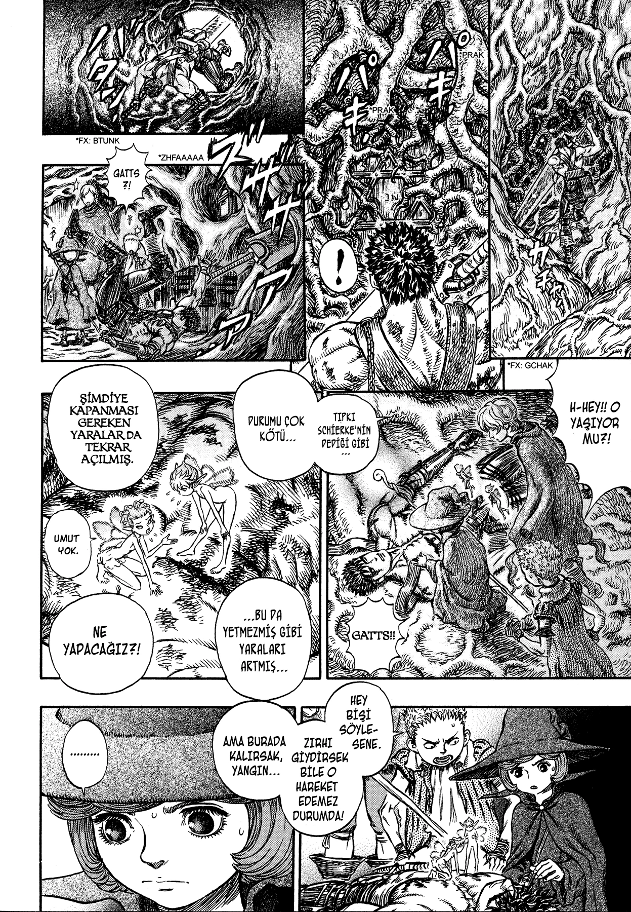 Read Berserk TR Manga Online