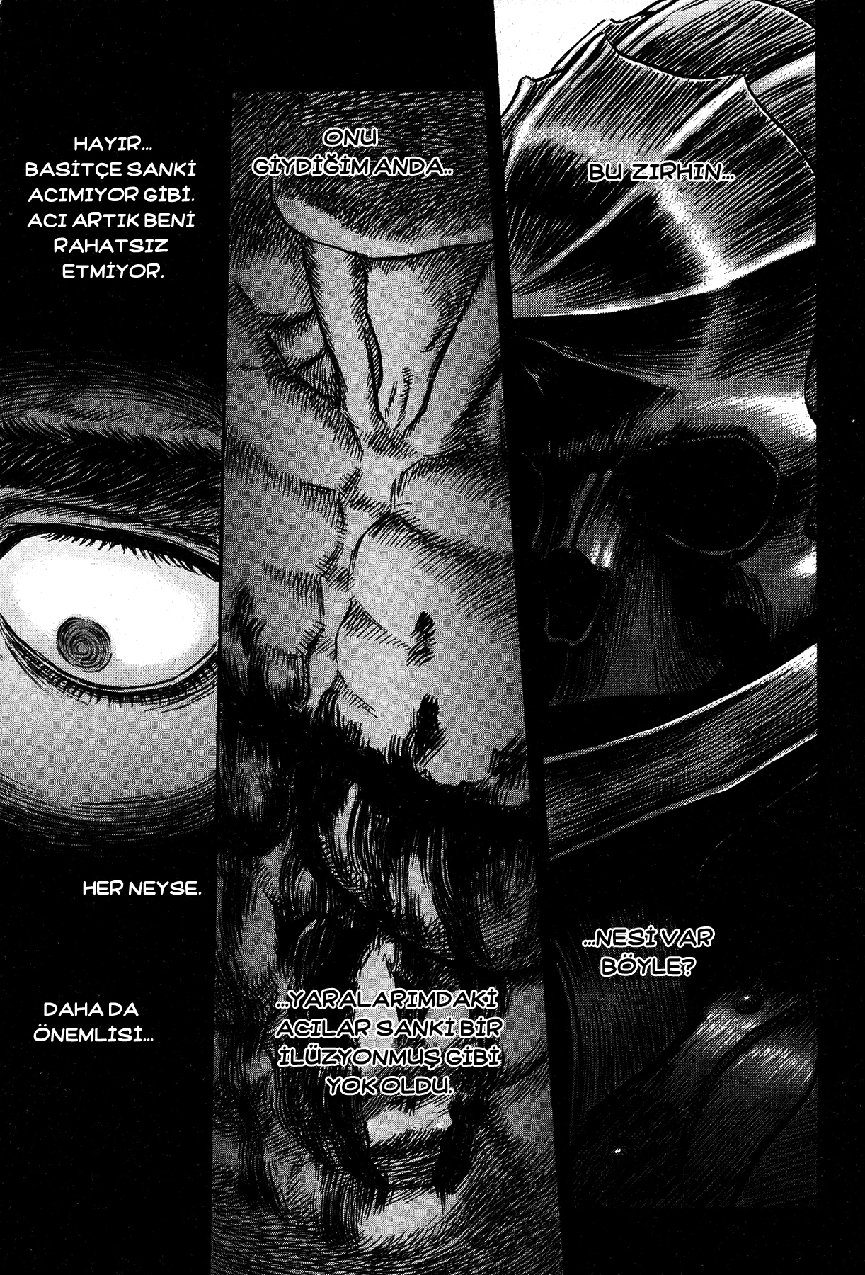 Read Berserk TR Manga Online