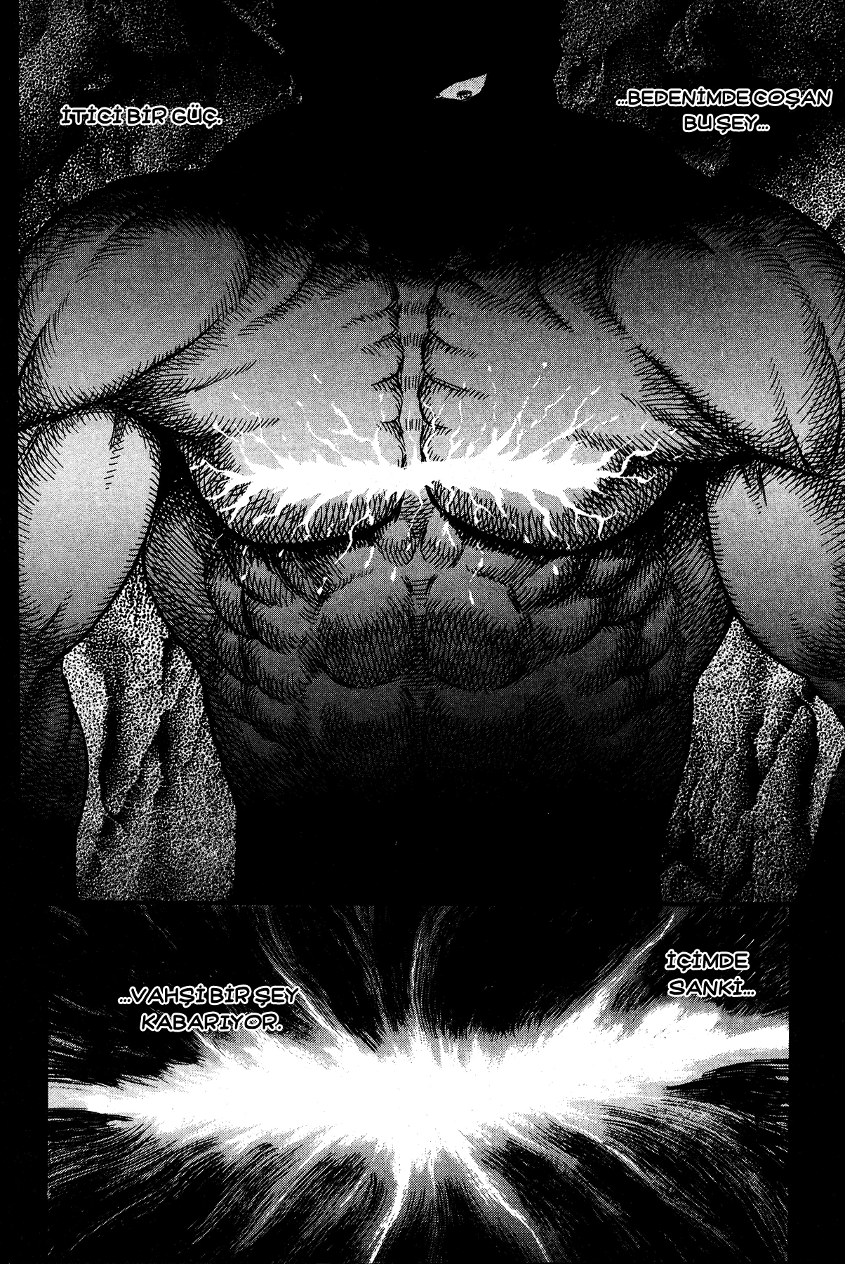 Read Berserk TR Manga Online