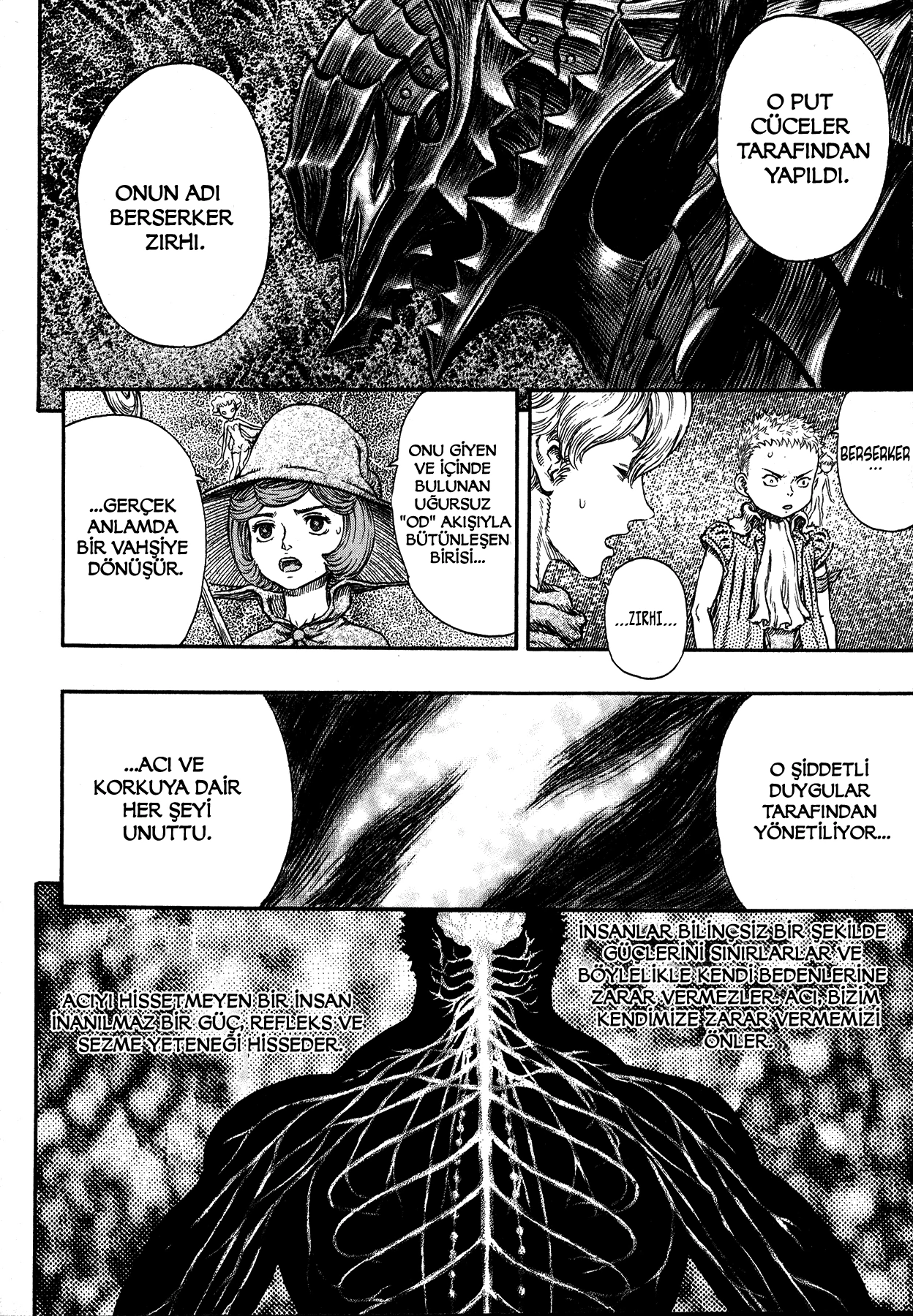 Read Berserk TR Manga Online