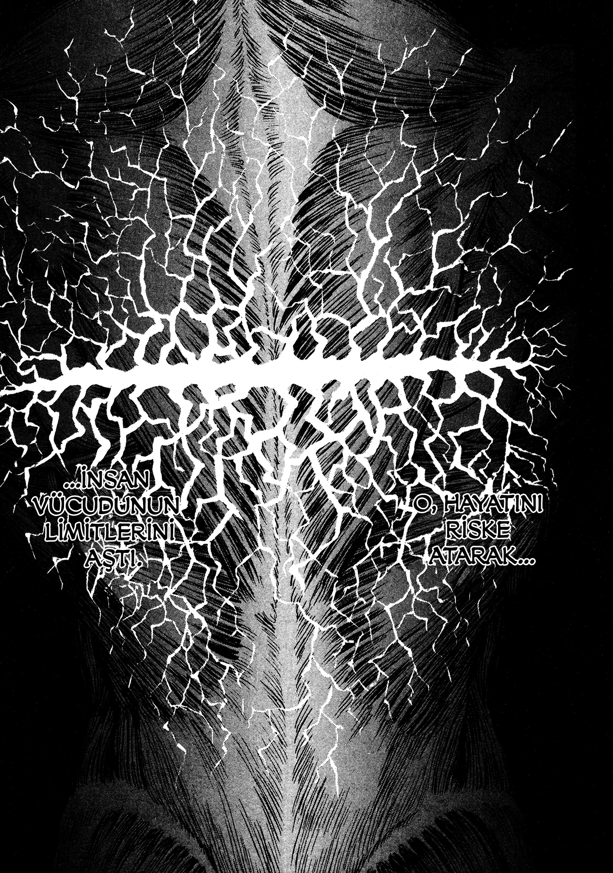Read Berserk TR Manga Online