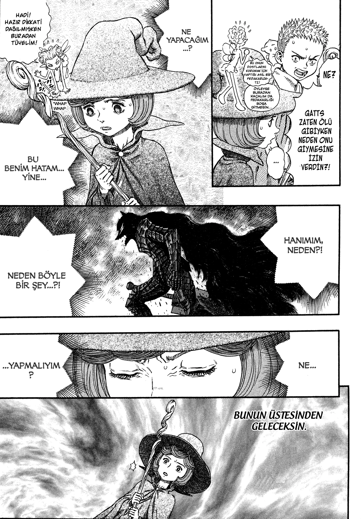 Read Berserk TR Manga Online