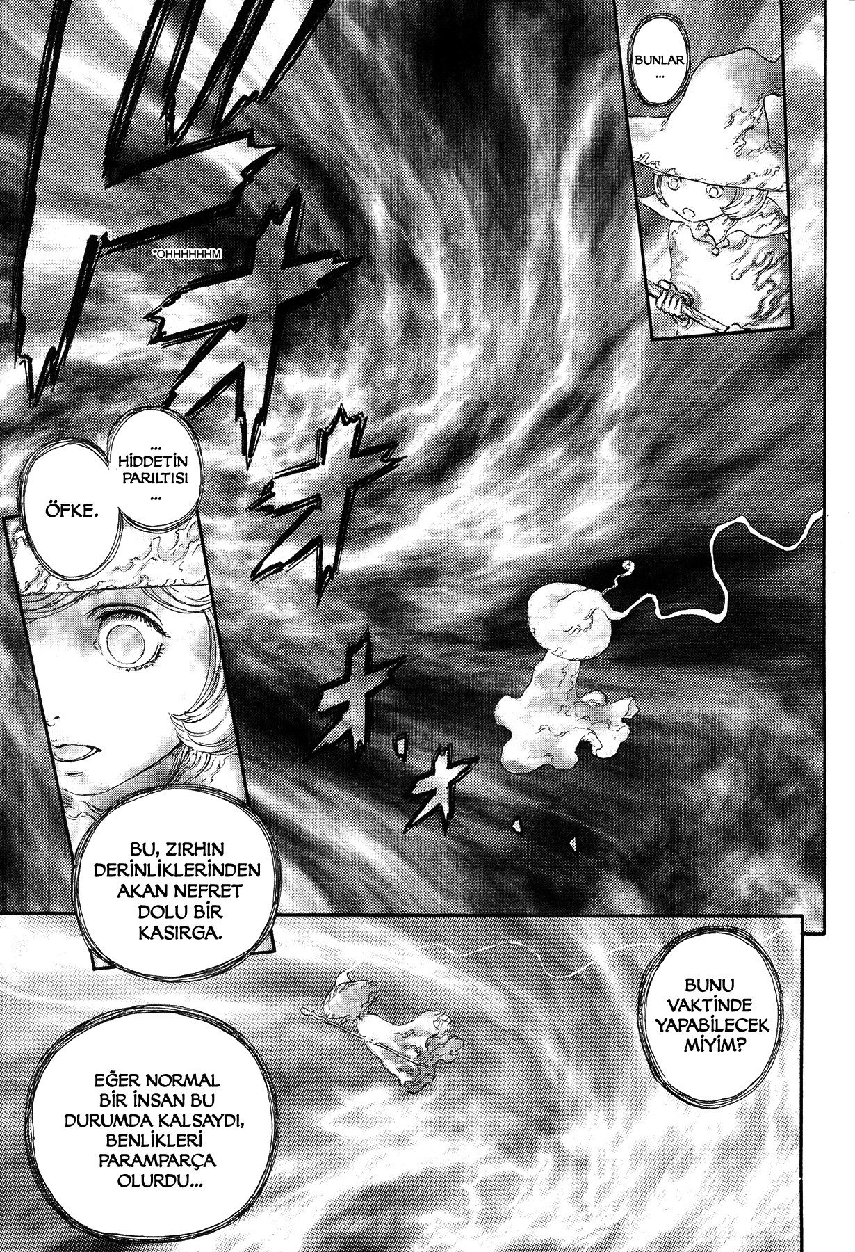 Read Berserk TR Manga Online