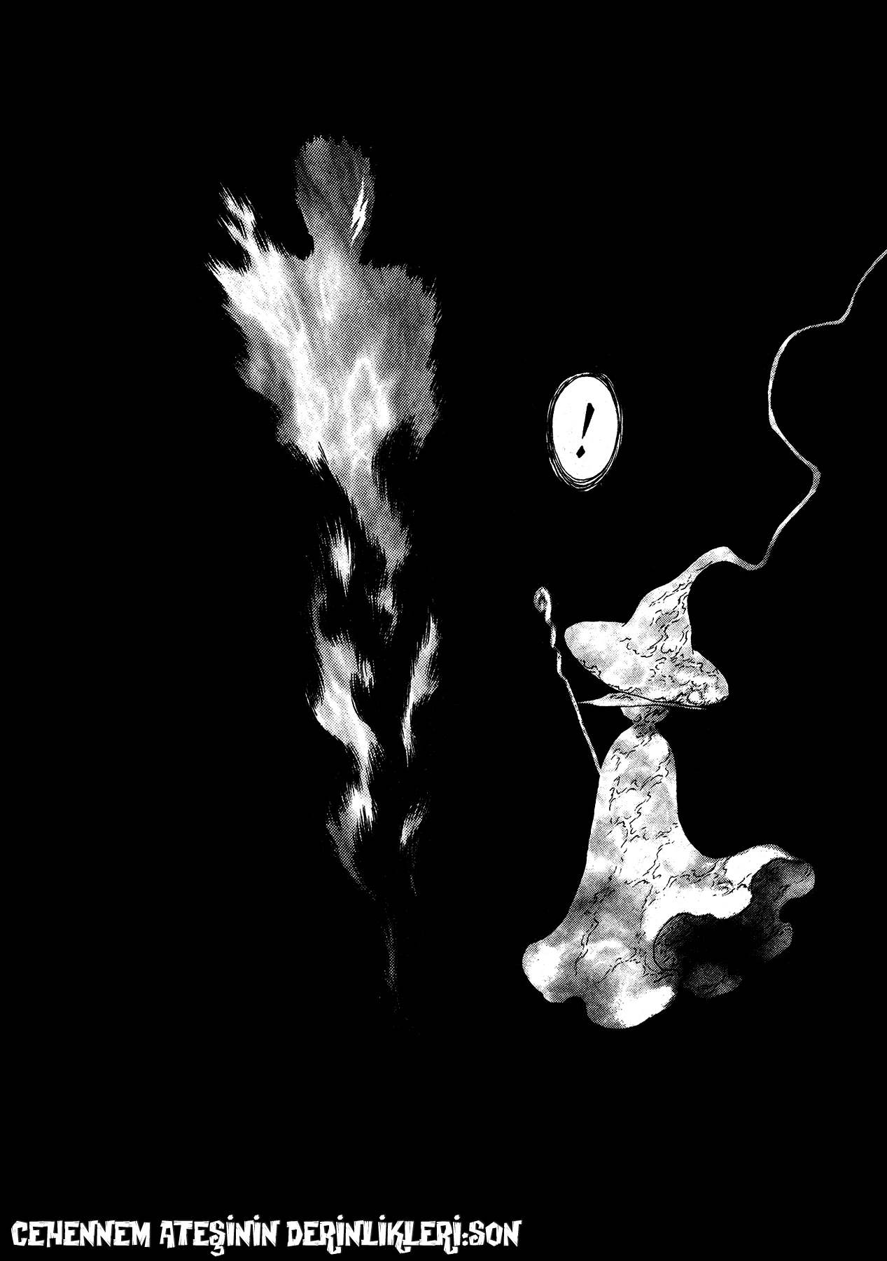 Read Berserk TR Manga Online