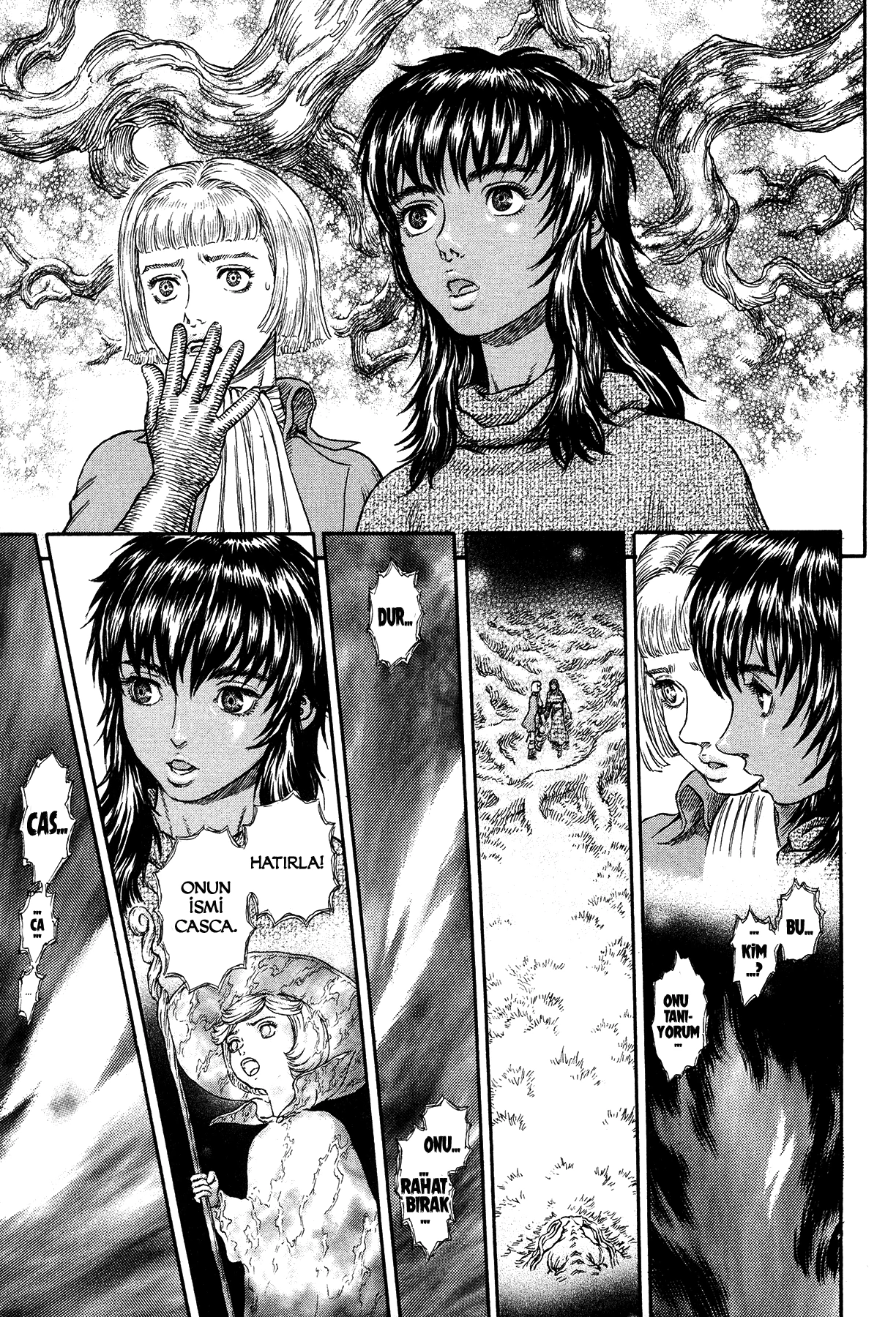 Read Berserk TR Manga Online