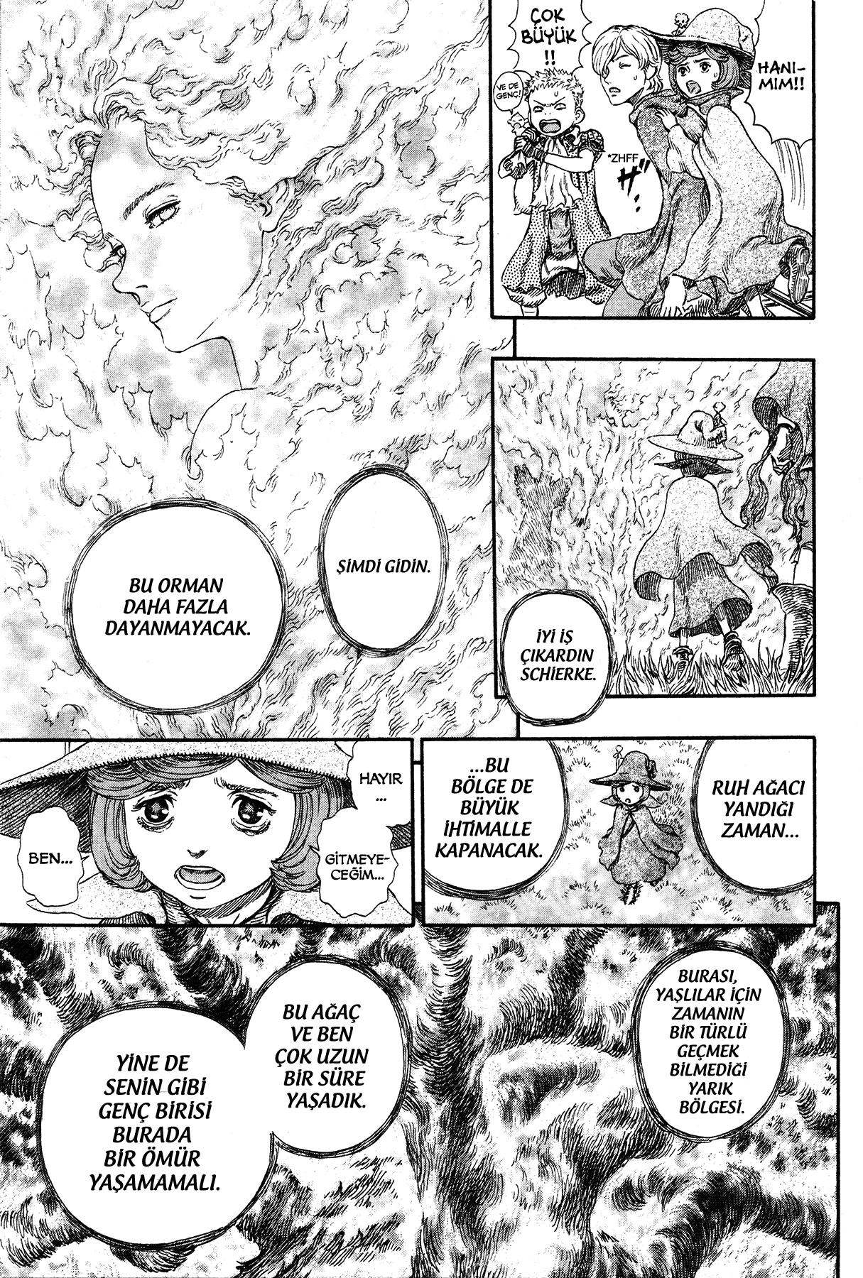 Read Berserk TR Manga Online
