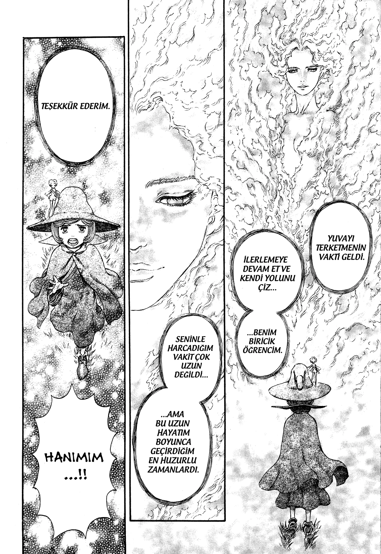 Read Berserk TR Manga Online